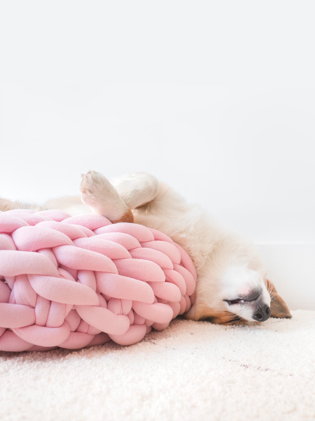 Braid-Dog-Bed-Pattern-2.jpg