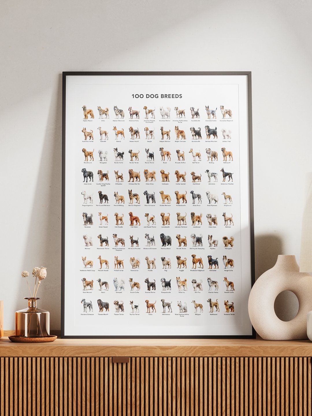 100-dog-breeds-5.jpg