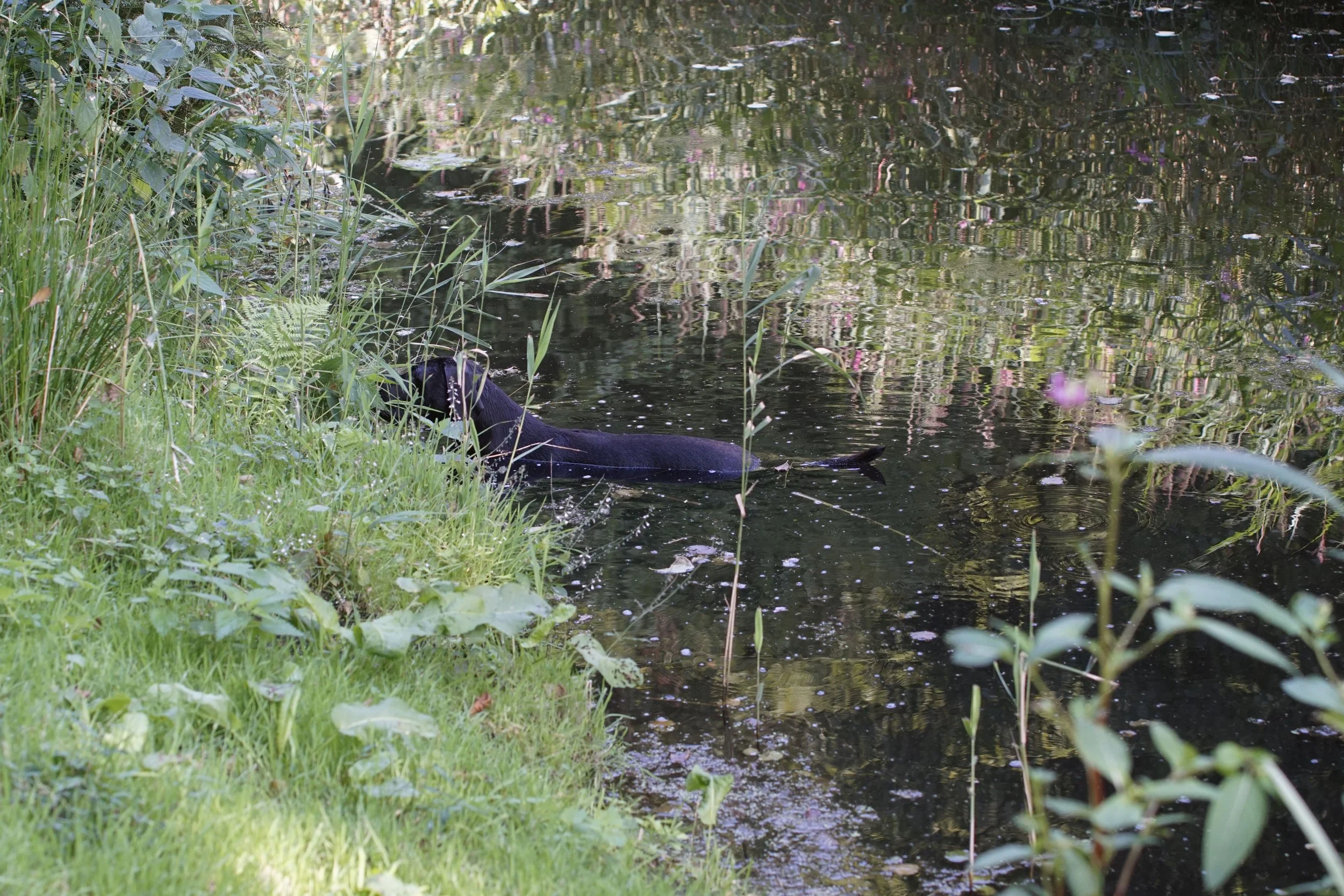 _DSC9077.JPG
