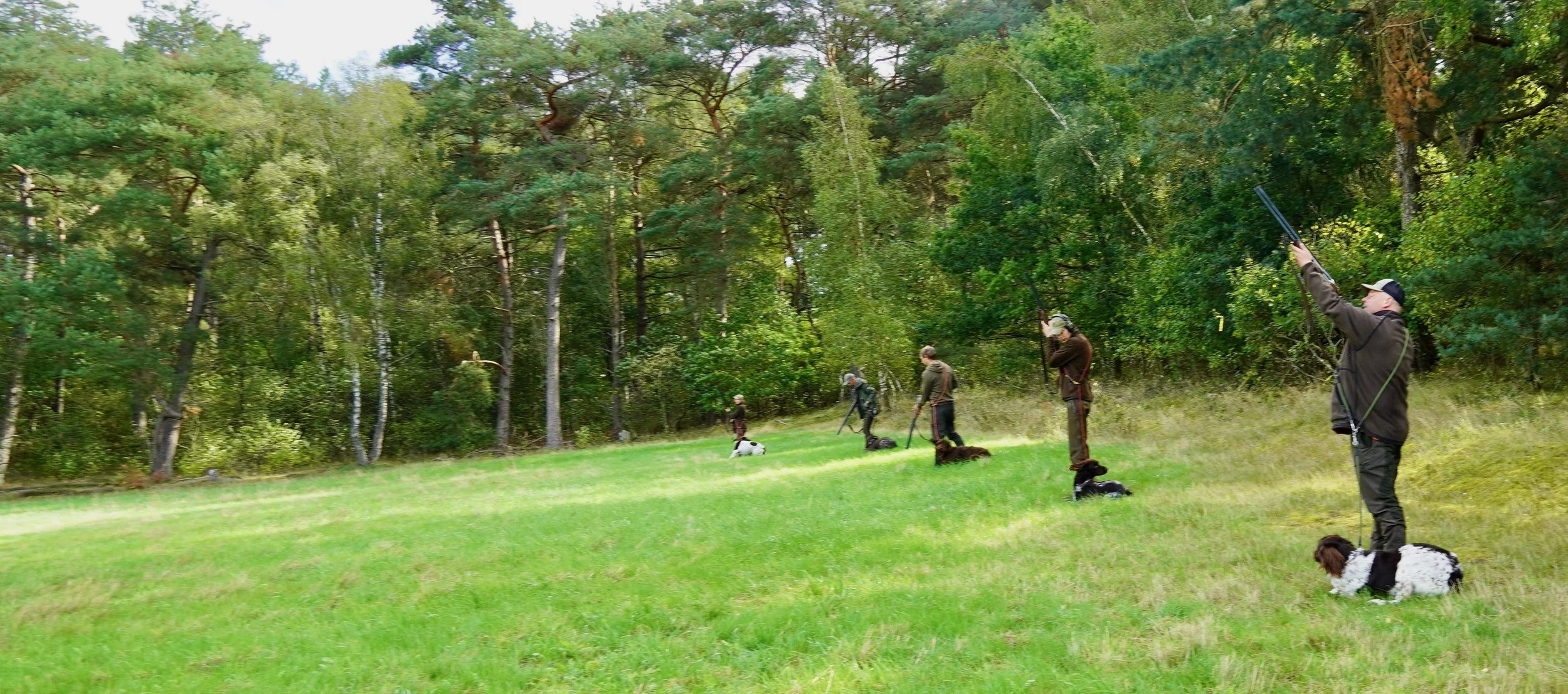 DSC02006.jpeg