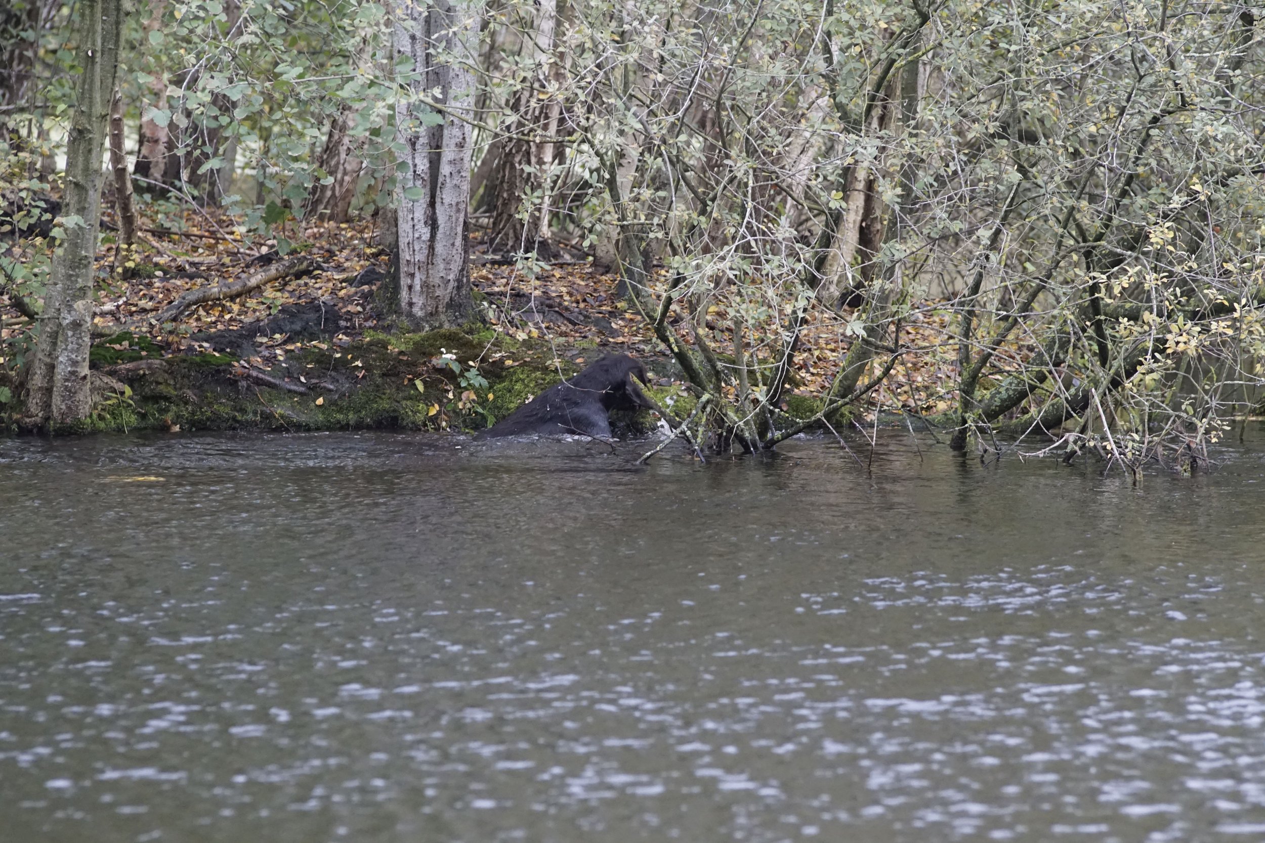 image7ii0079.jpg