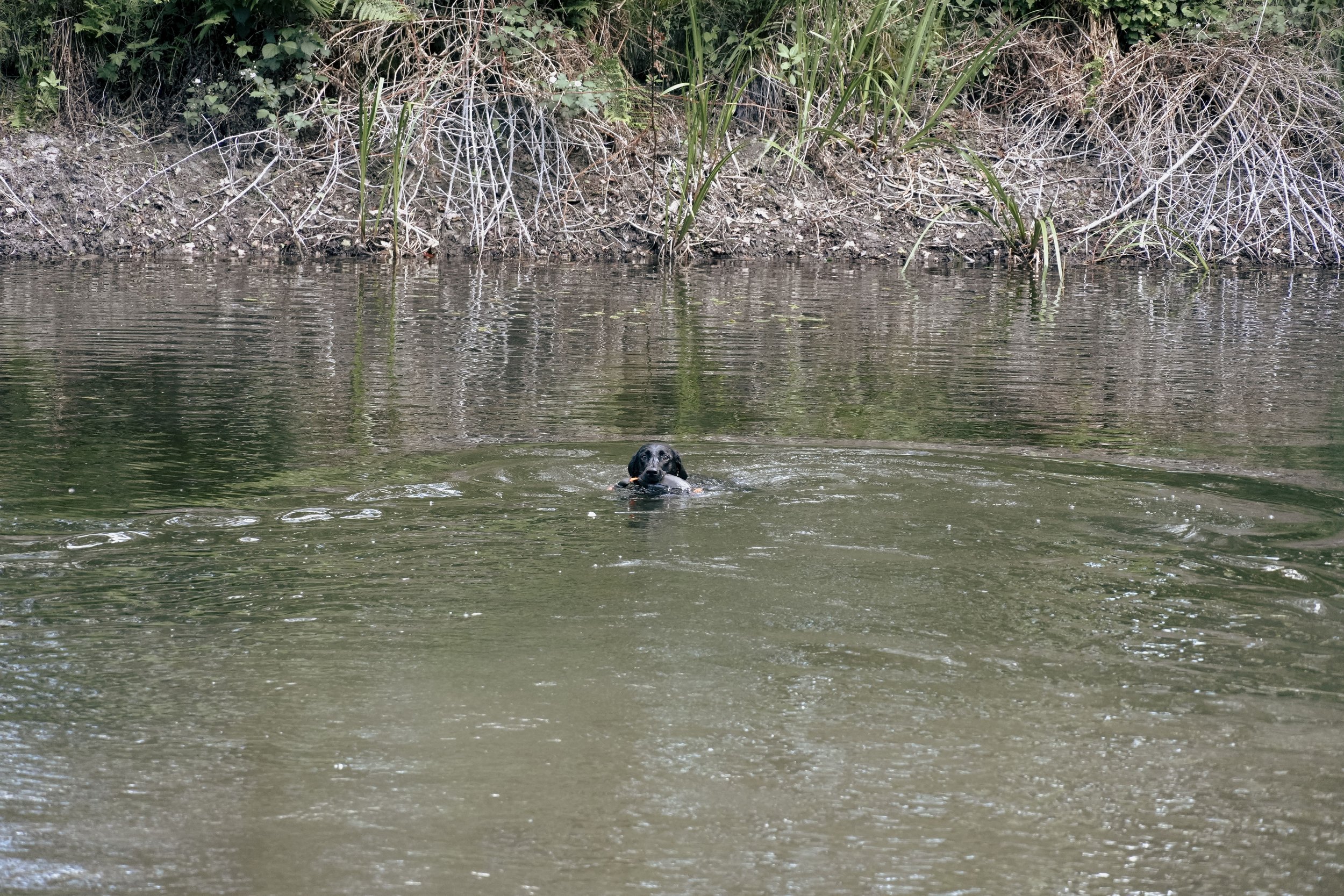 DSC01748.jpg
