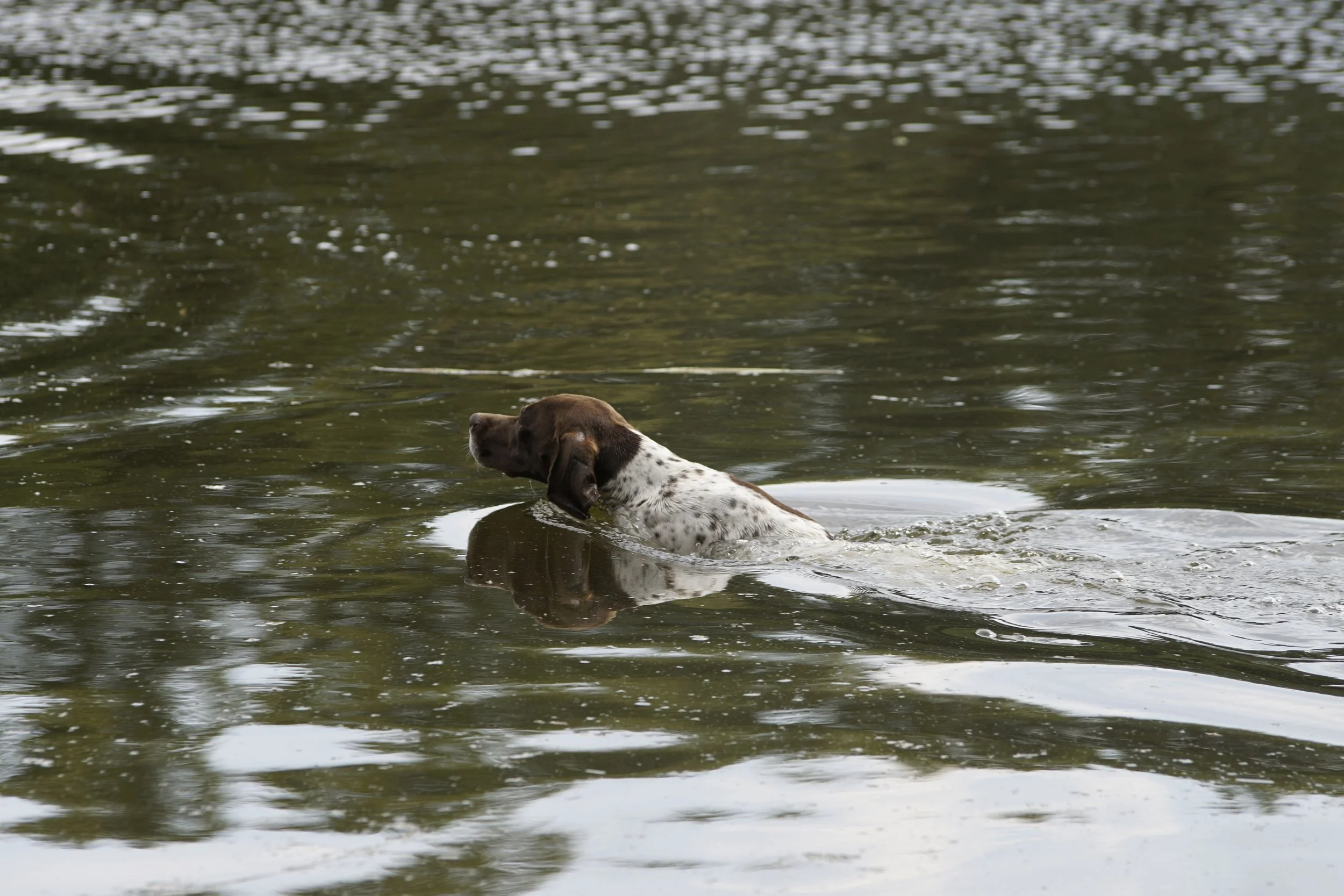 _DSC9653.JPG
