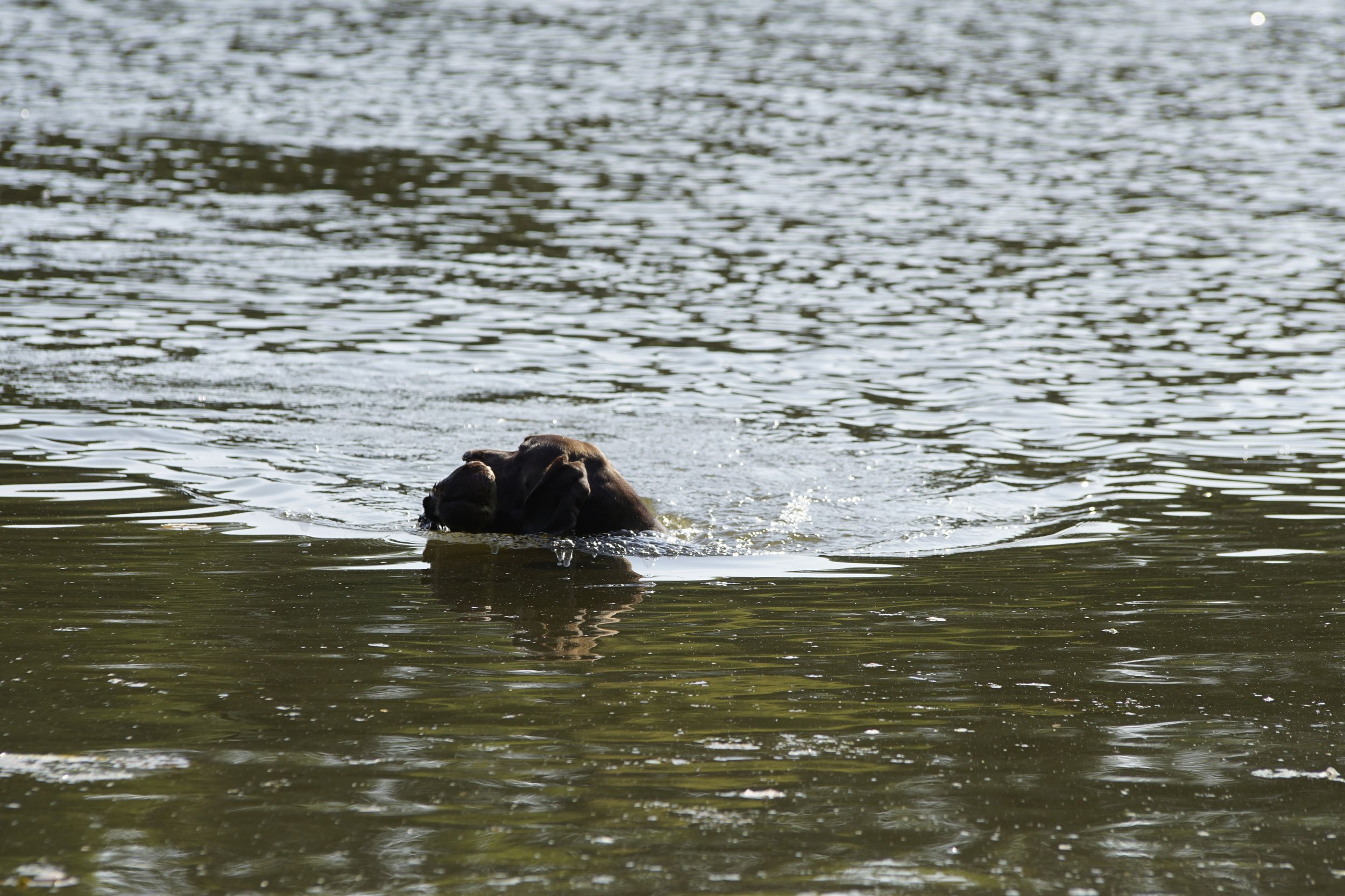 _DSC9307.JPG