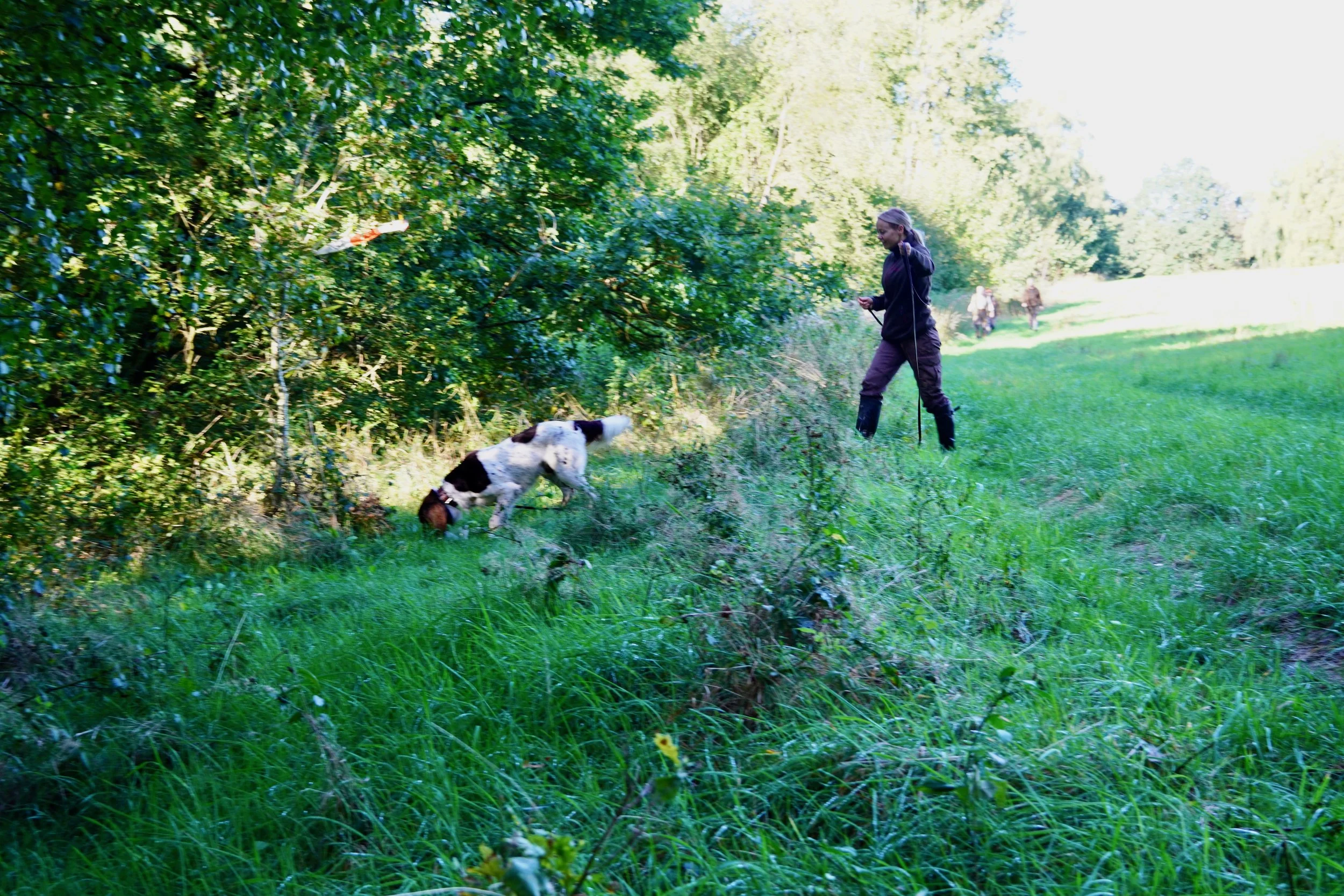 DSC01912.jpeg