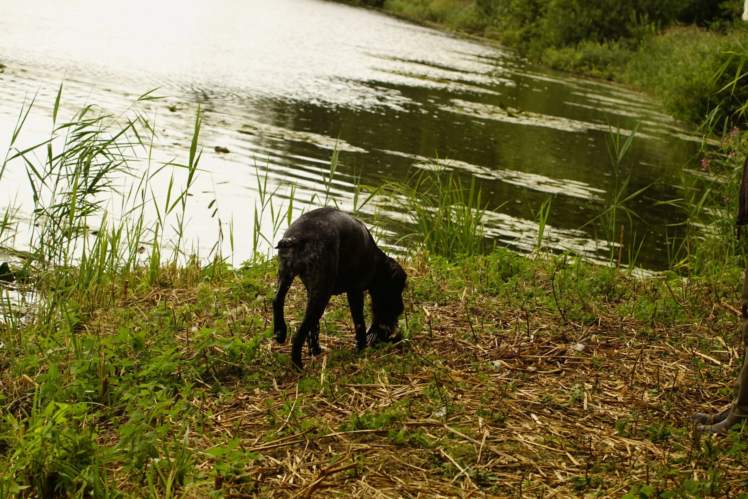 _DSC9754.JPG