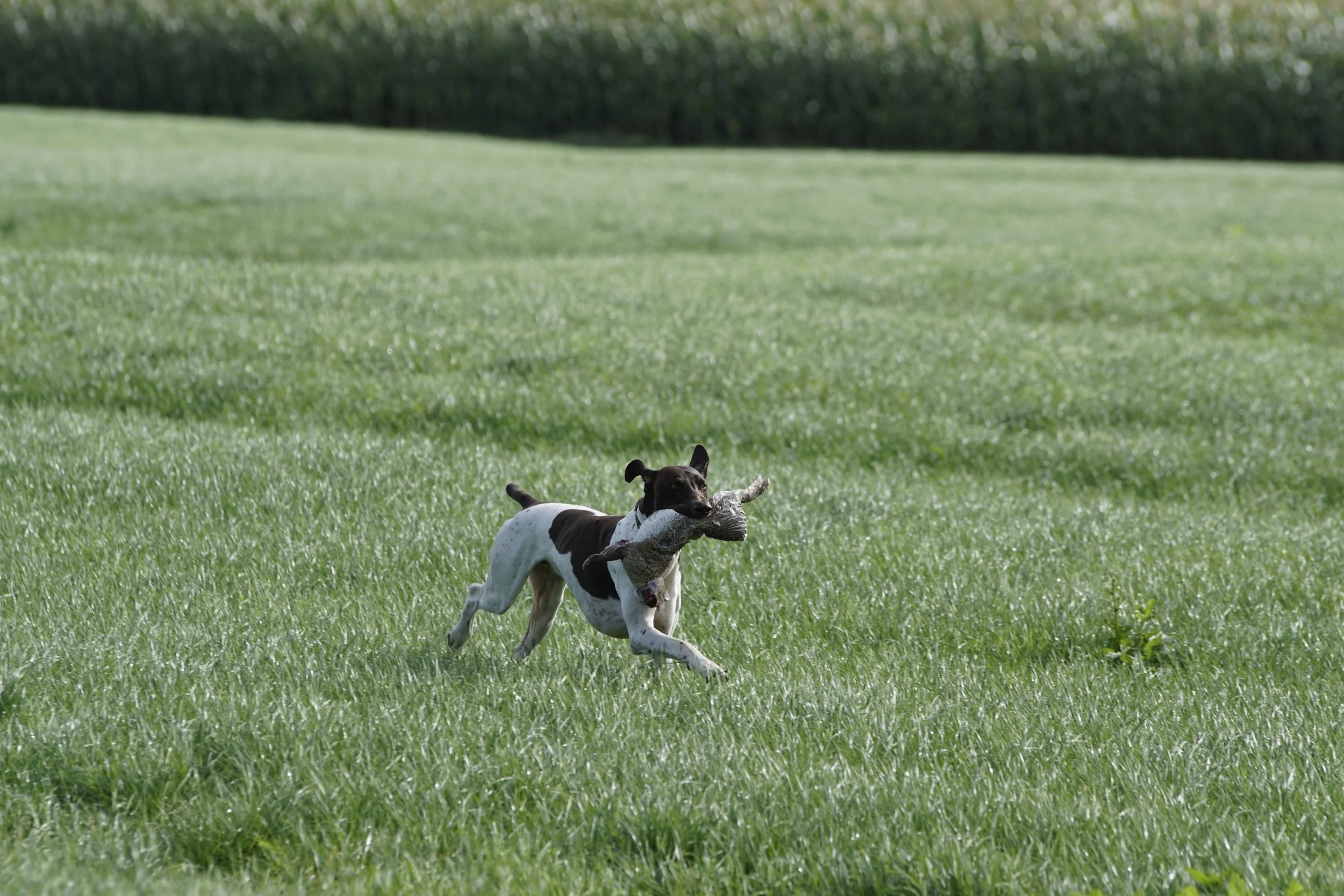 _DSC7657.JPG
