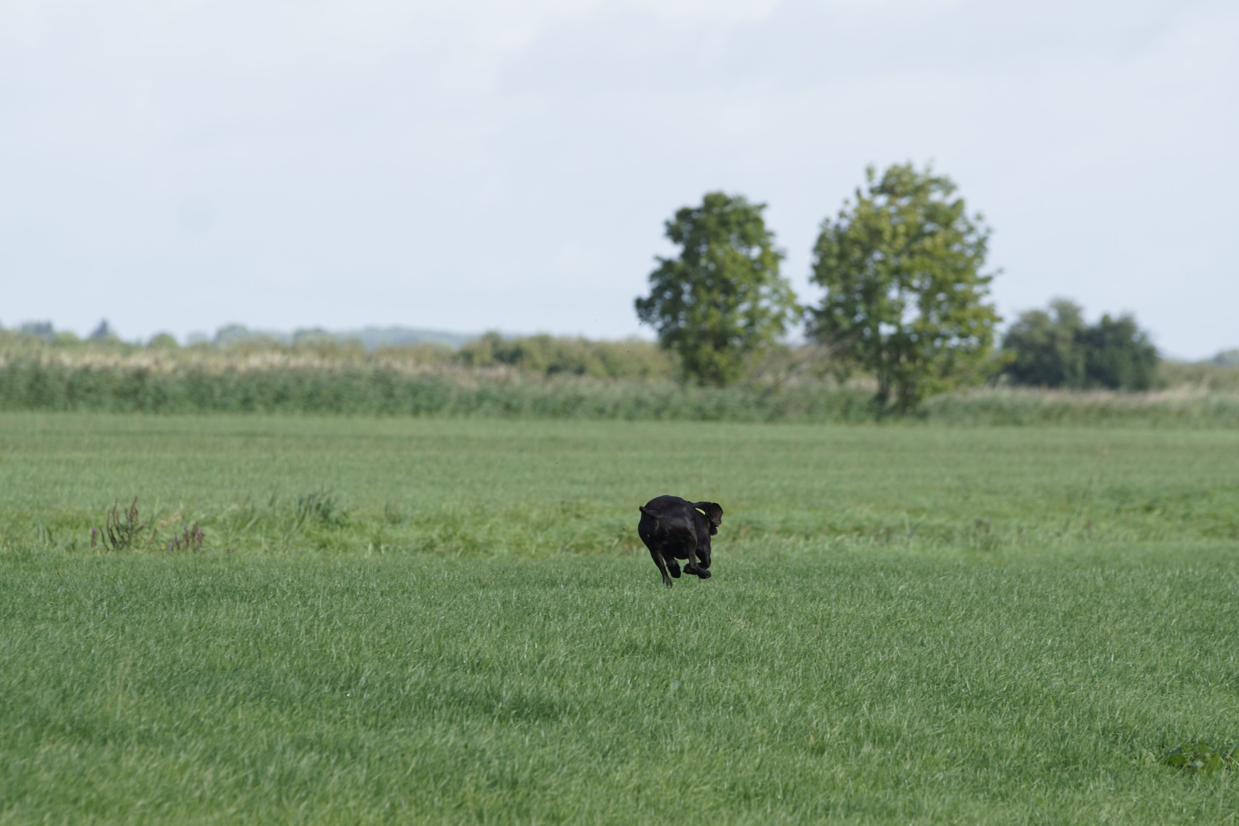 _DSC7682.JPG