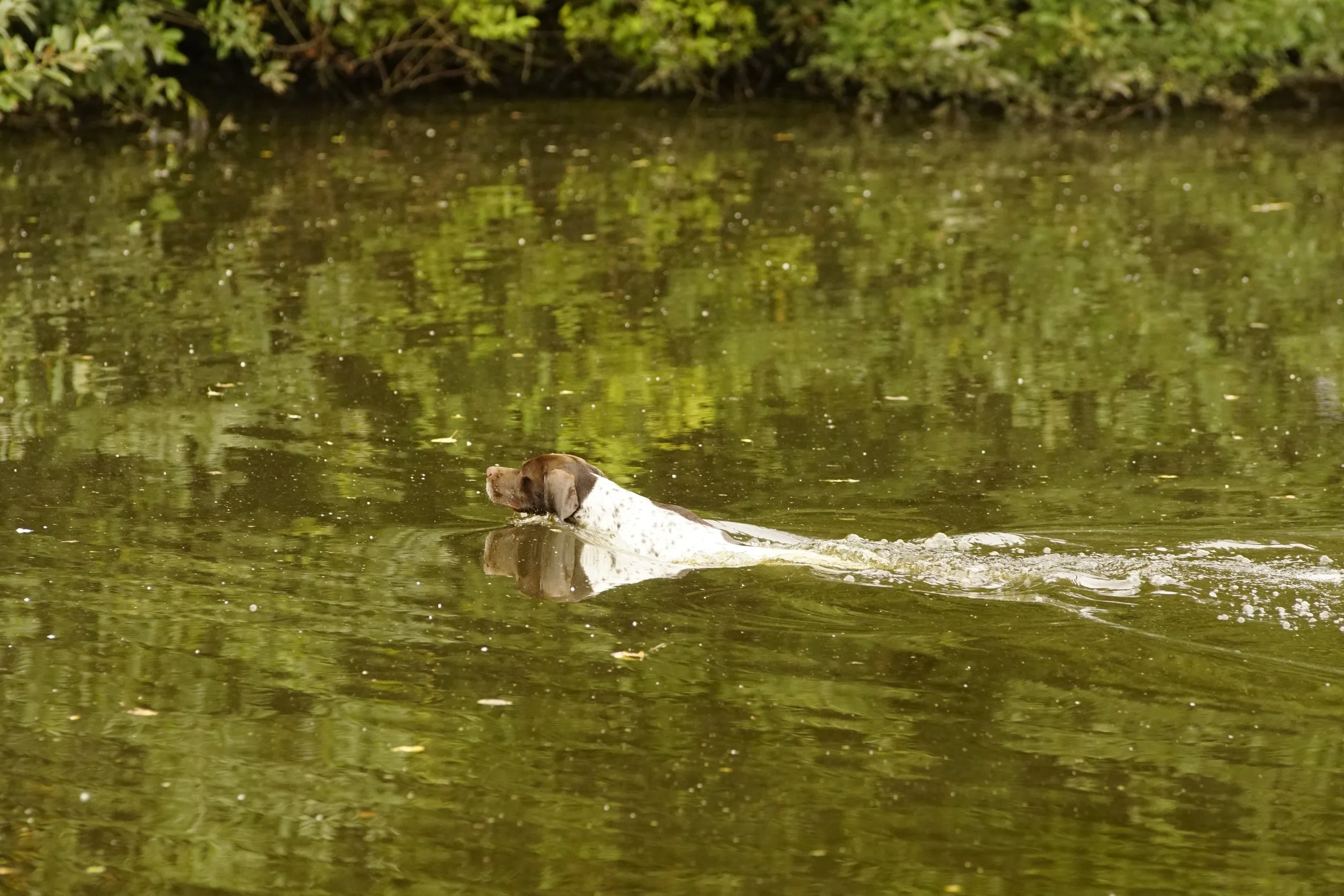 _DSC9033.JPG