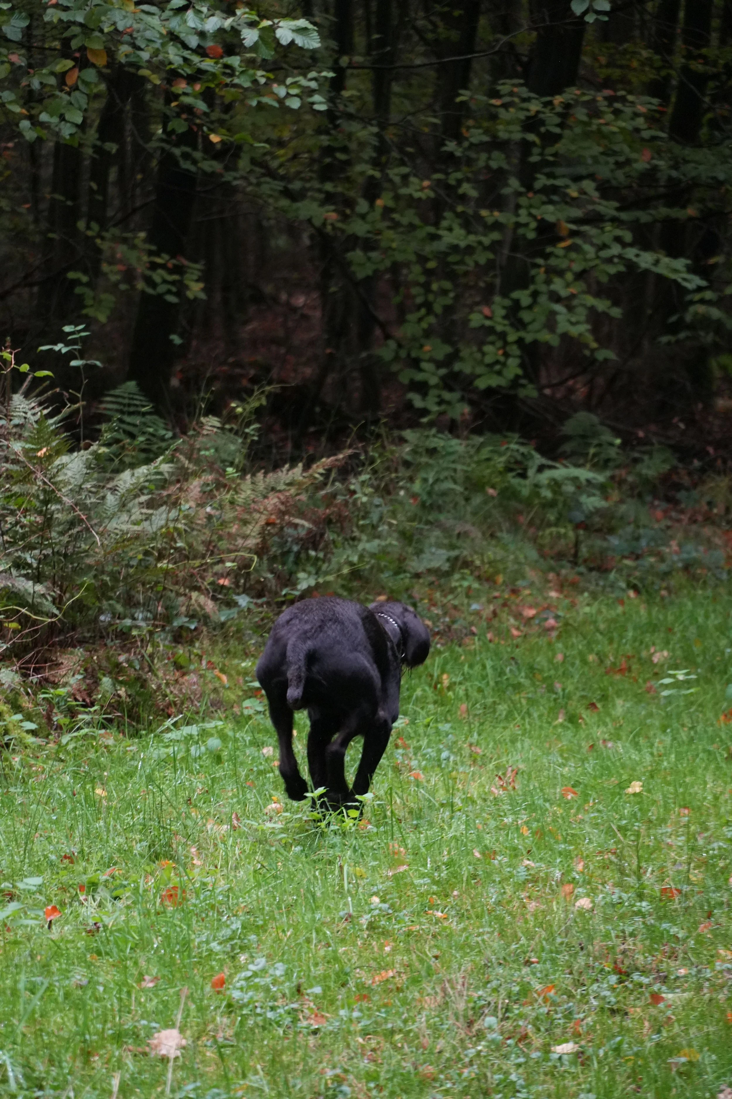 image7ii0336.jpg
