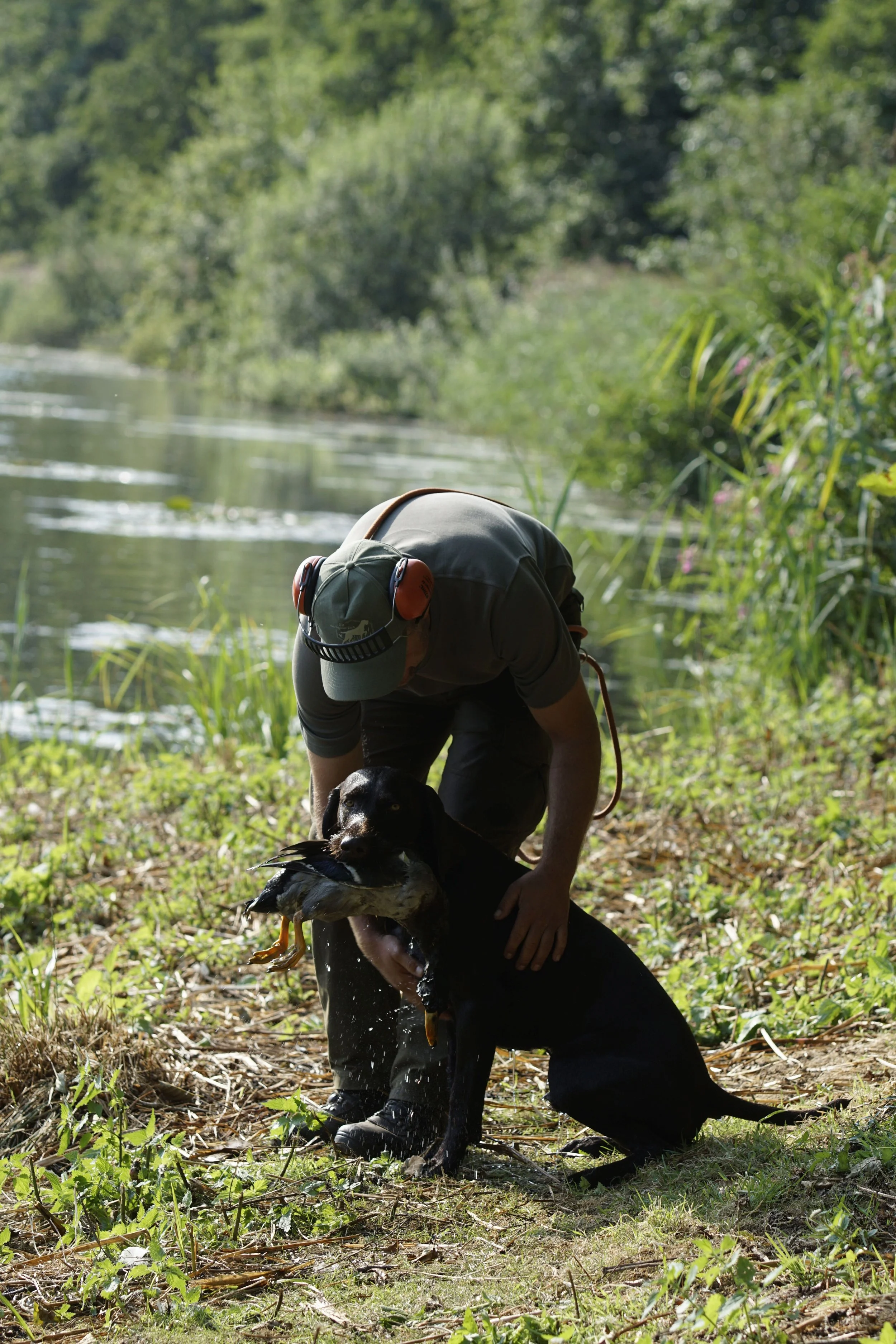 _DSC9010.JPG