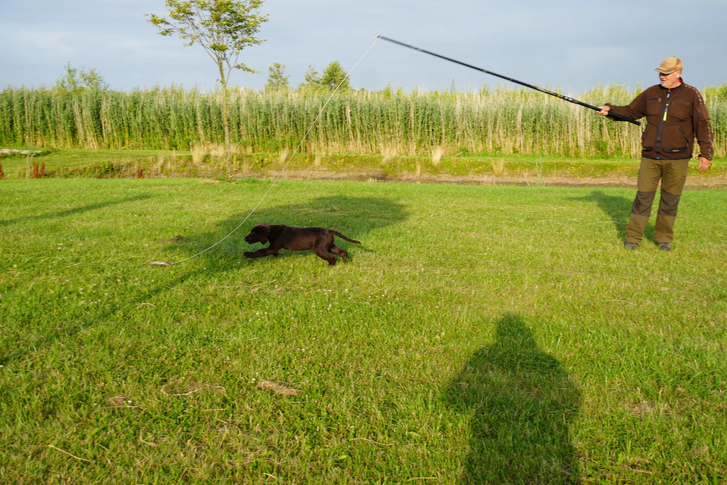 DSC08973.JPG
