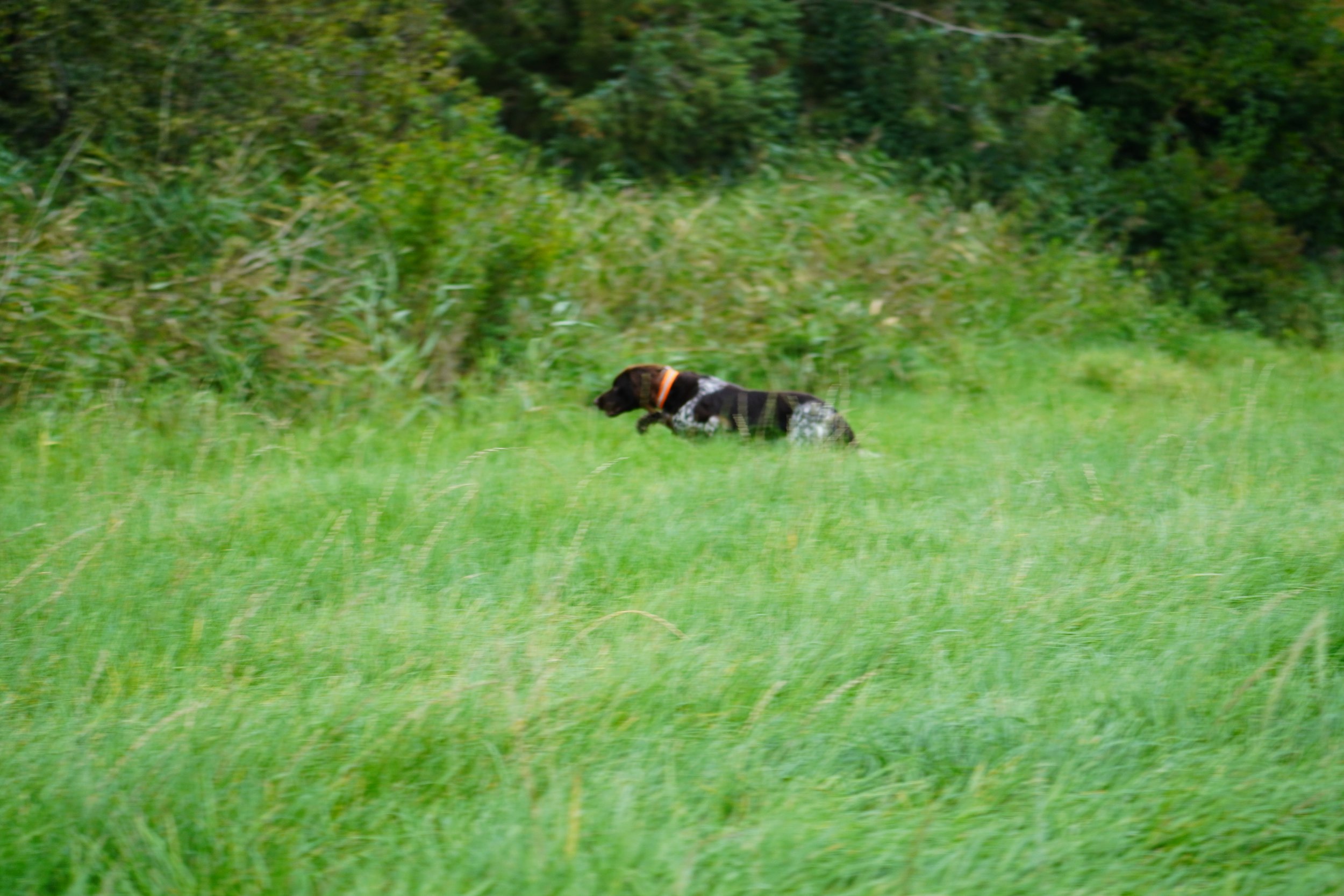 DSC01121.JPG