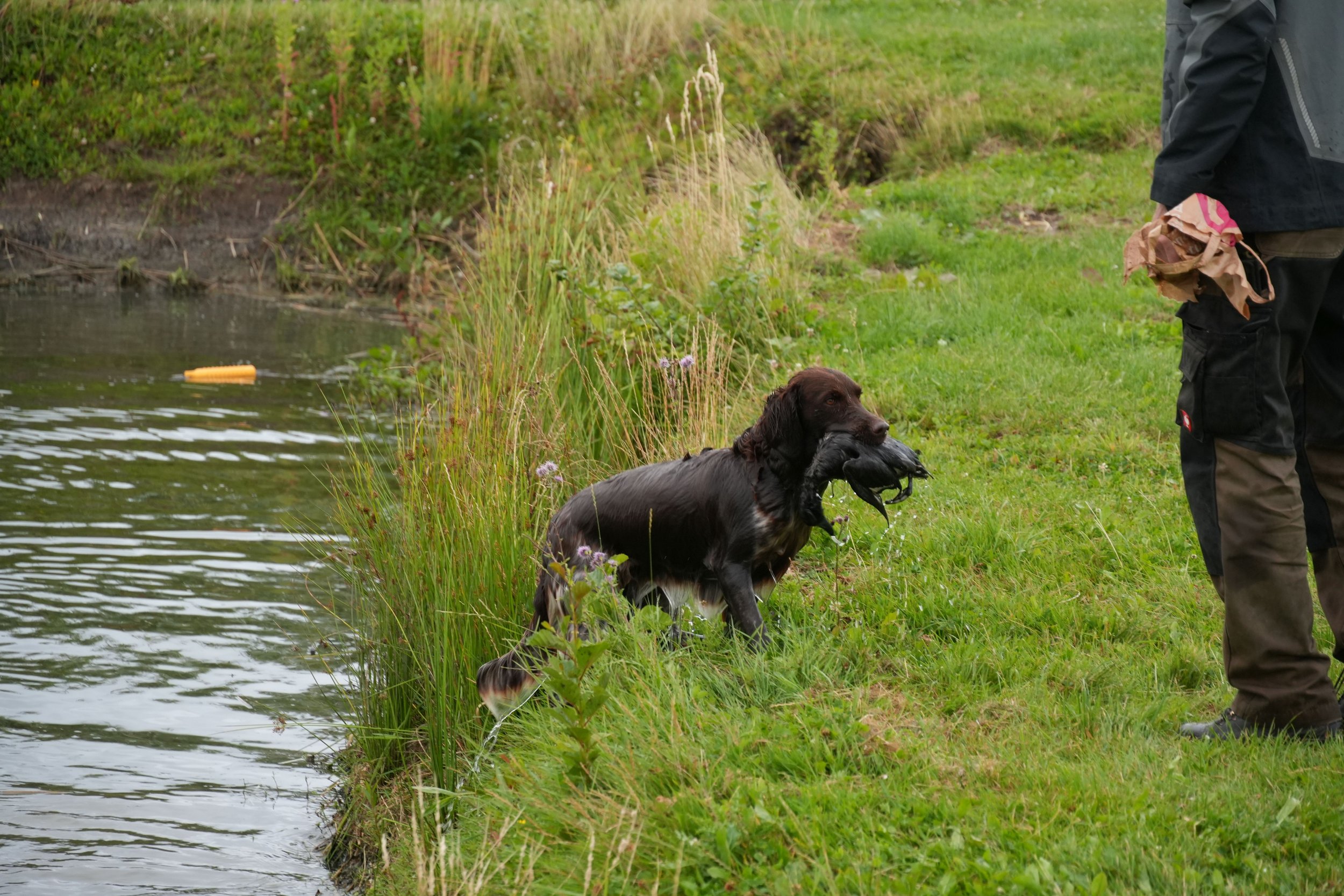 DSC08710.JPG