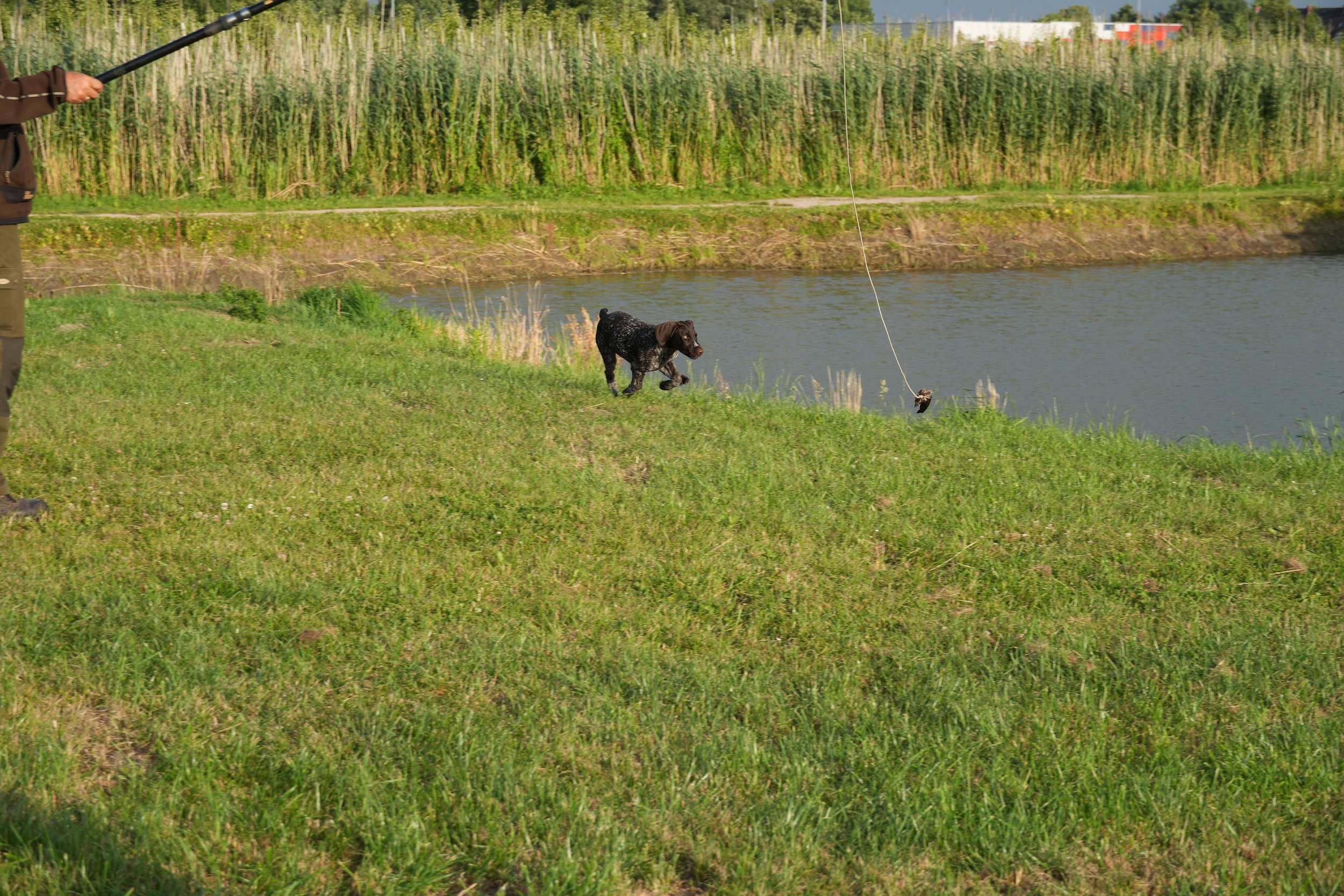 DSC08926.JPG