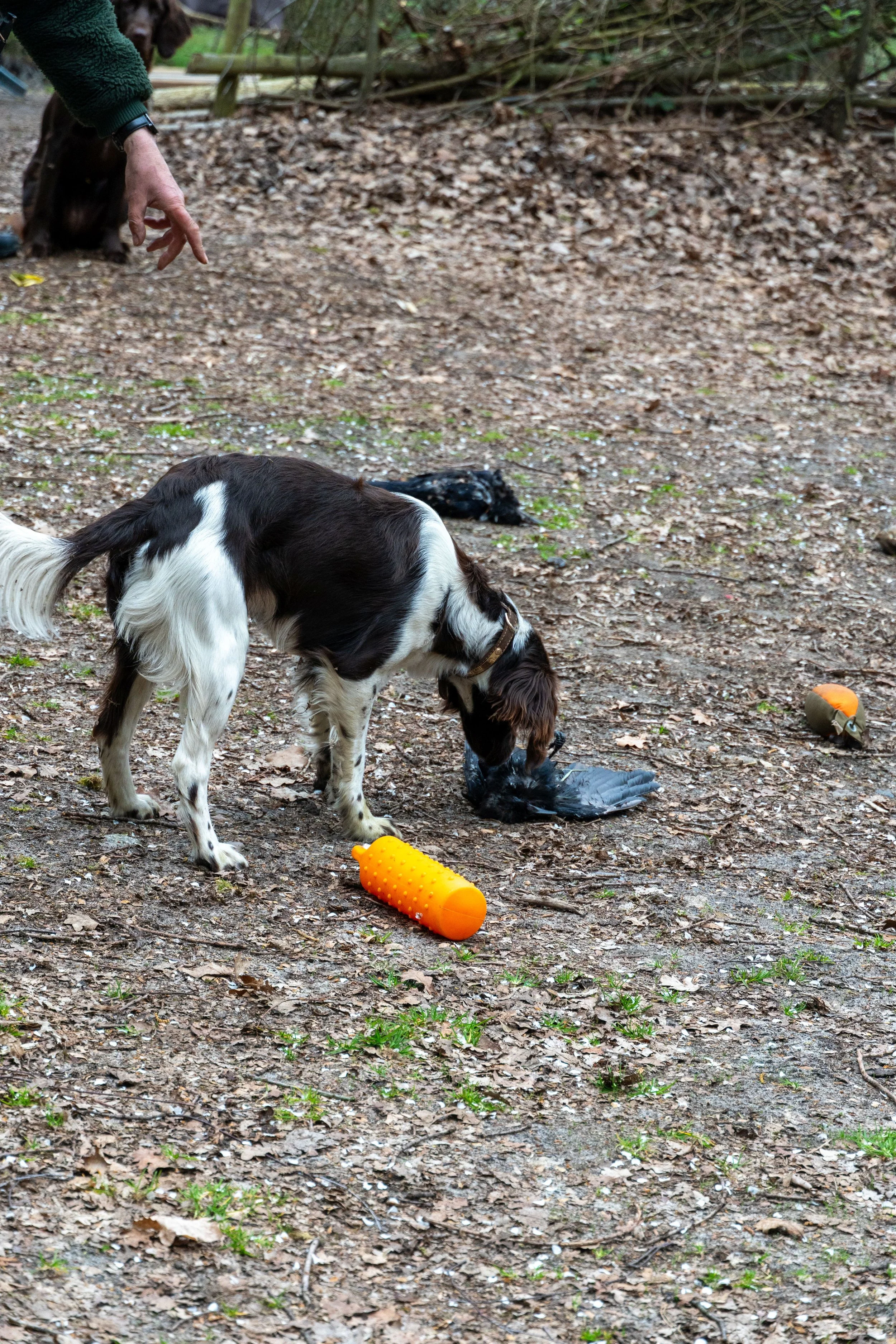 DSC01346-79.jpg