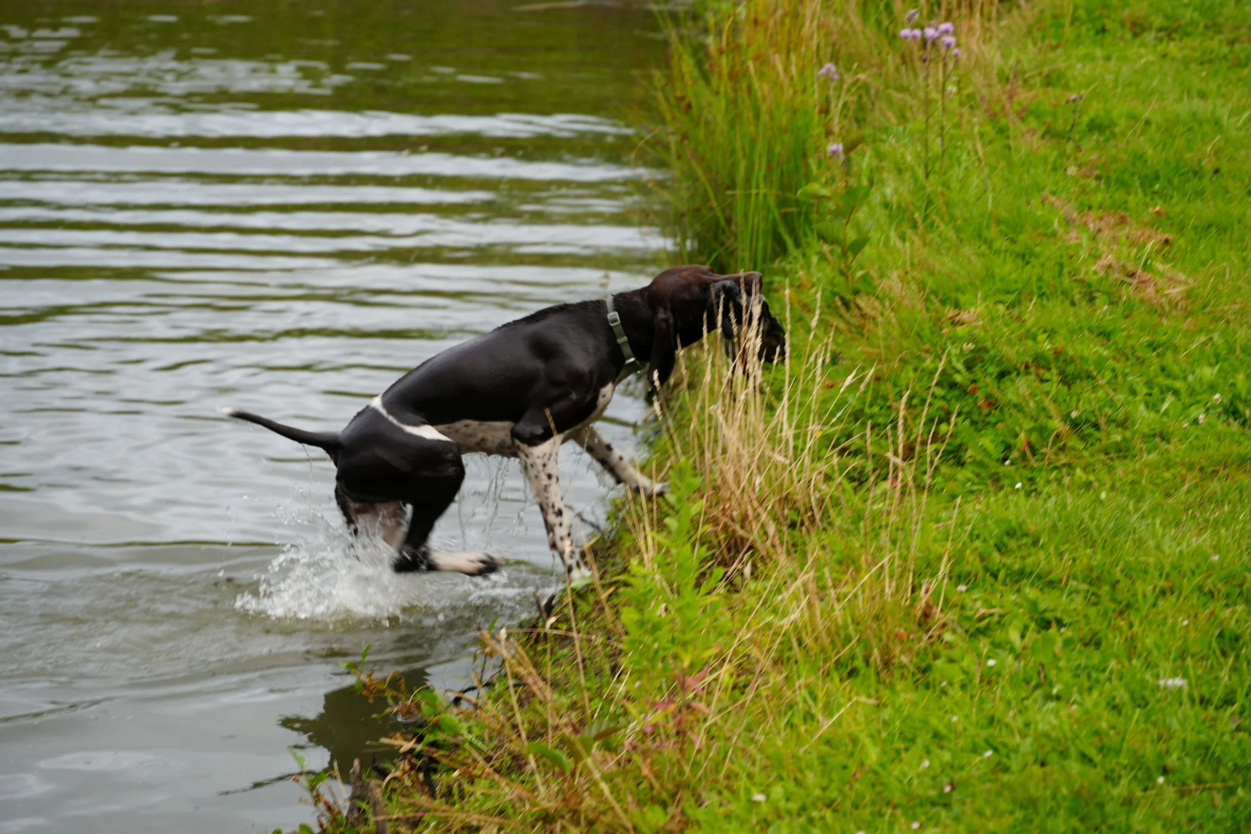 DSC08647.JPG