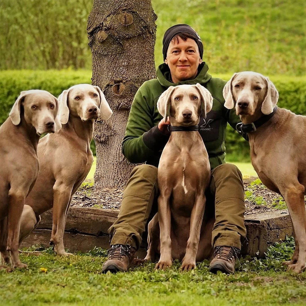 Jungjäger aufgepasst: Erwerb der theoretischen Sachkunde NHundG am 07. Oktober 2023 möglich!