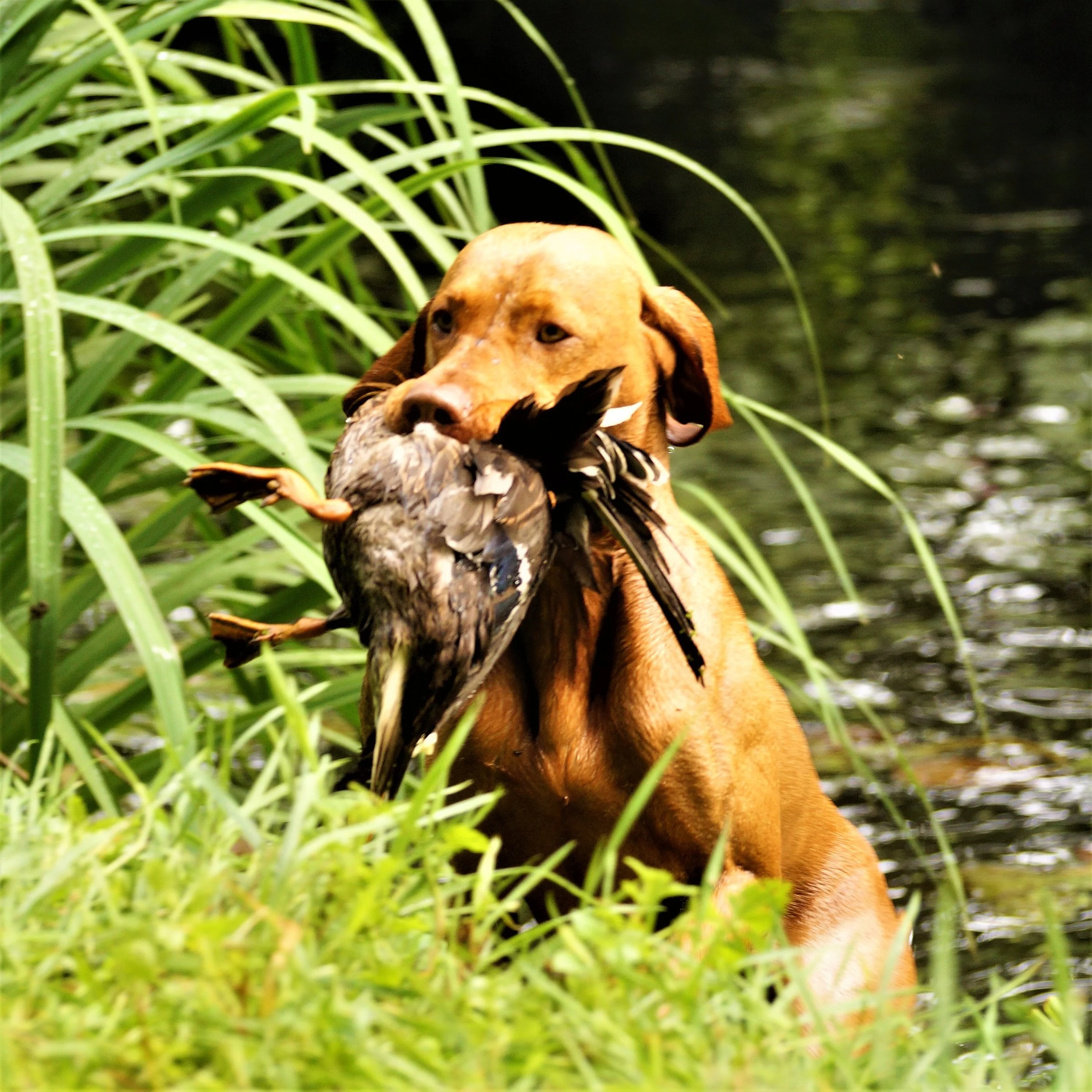 Wasserübungstage auf Gut Daudieck: Der Endspurt vor den Herbstprüfungen hat begonnen…