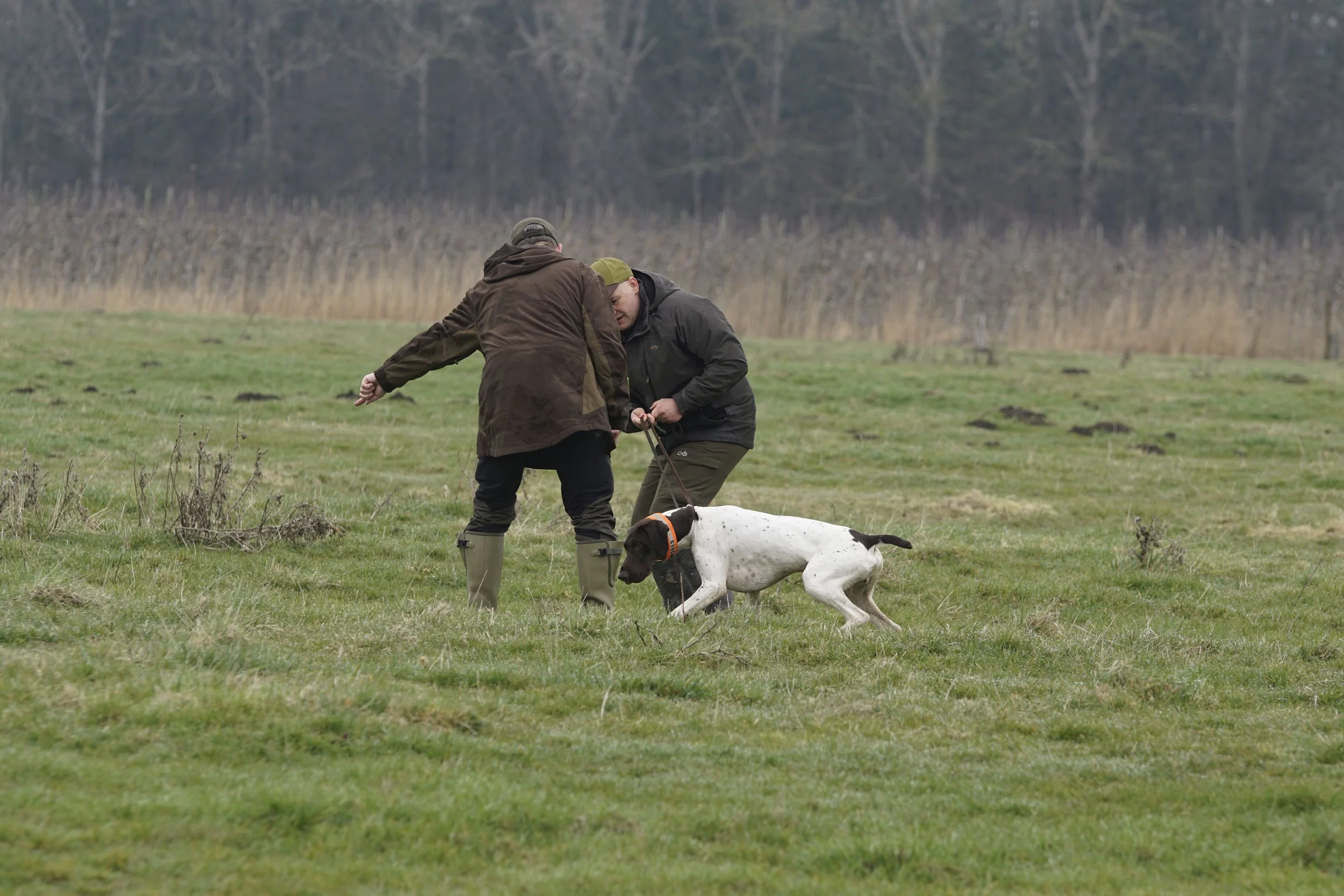 _DSC0471.JPG