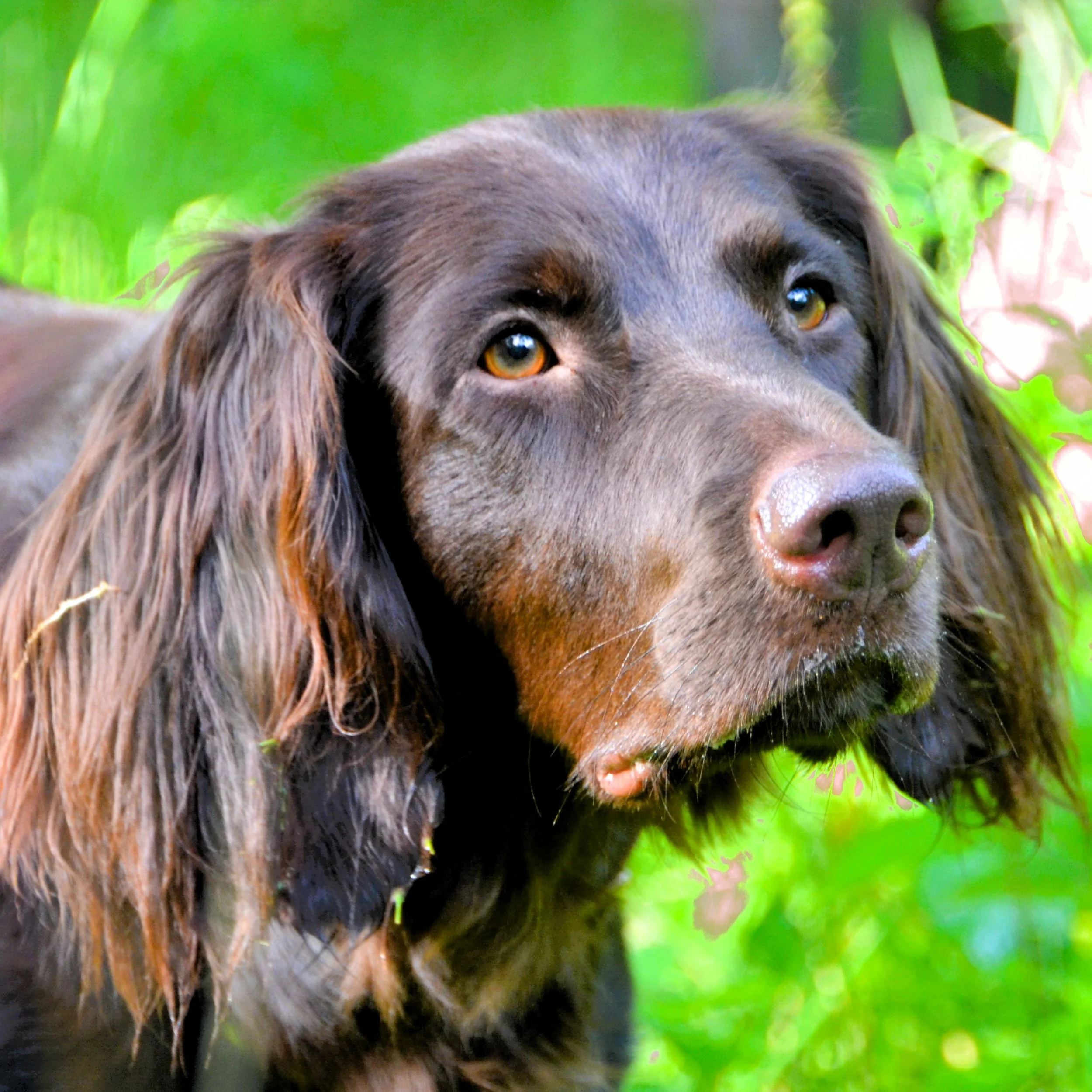 Es ist wieder soweit: Erste HZP und Überprüfung der ZusF zur bestandenen HZP durchgeführt.