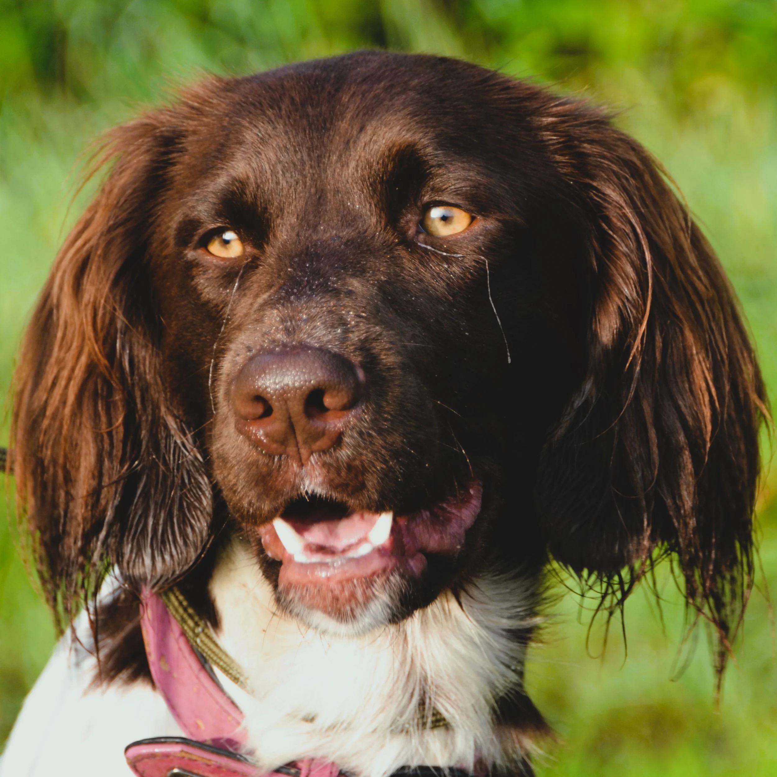 Dritte HZP mit Überprüfung der Zusatzfächer zur bestandenen HZP (3) erfolgreich abgeschlossen.