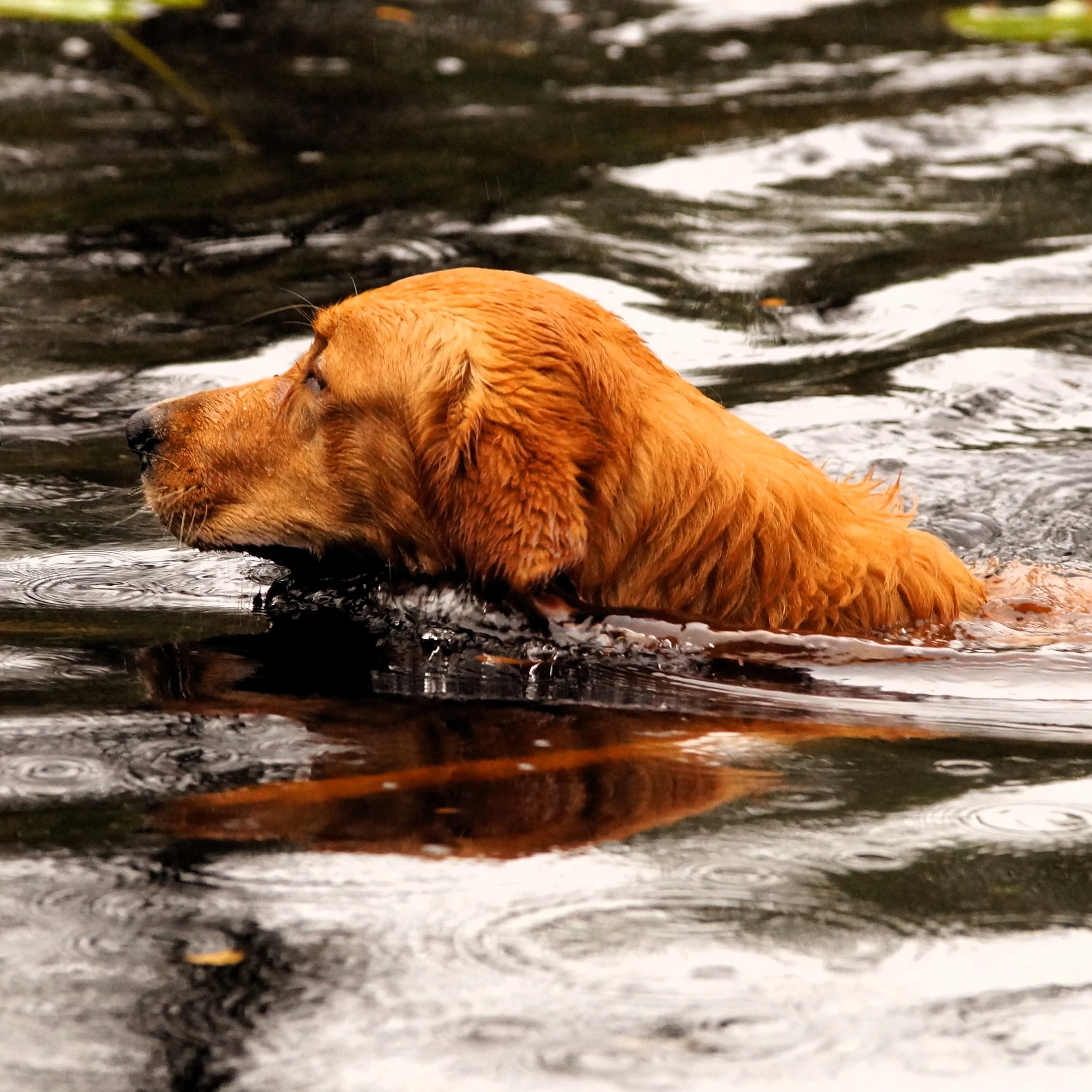 BrP am 21. und 22.10.2023 mit Erfolg abgeschlossen.