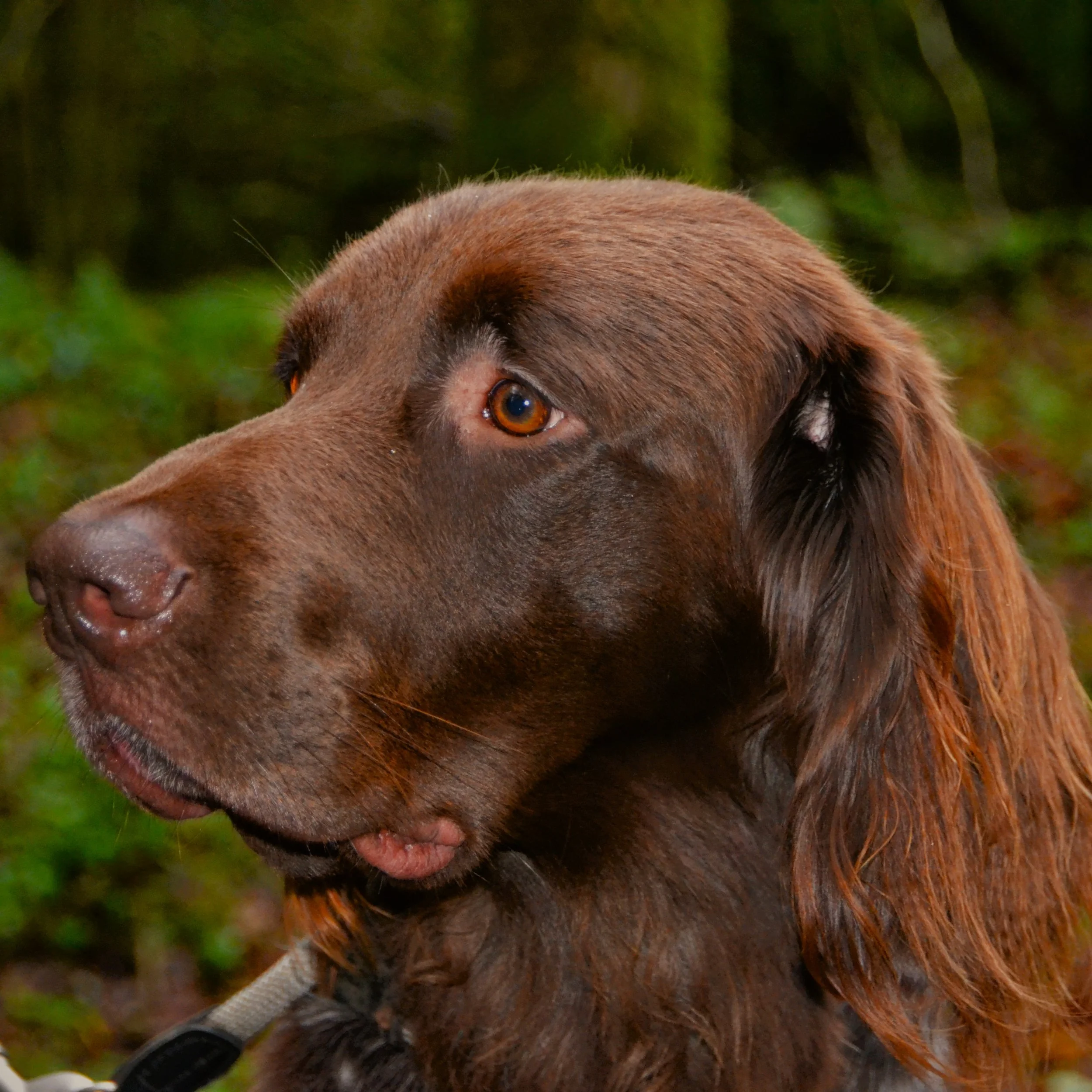 VGP (2), VPS (2) und BrP (05): Zwei tolle Tage in Kehdingen und auf der Stader Geest.