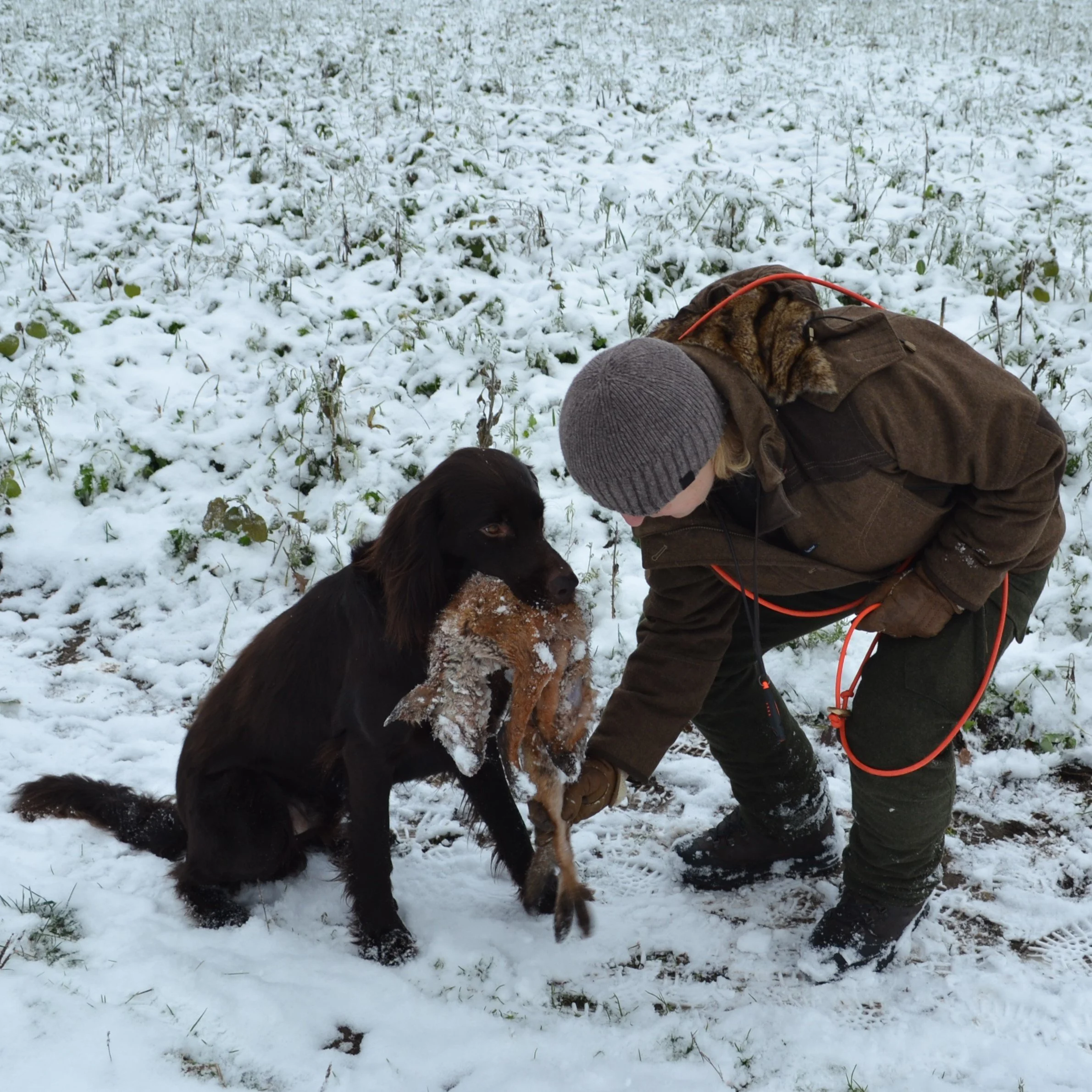 Vorbereitung auf Bringtreueprüfung im Februar 2024.