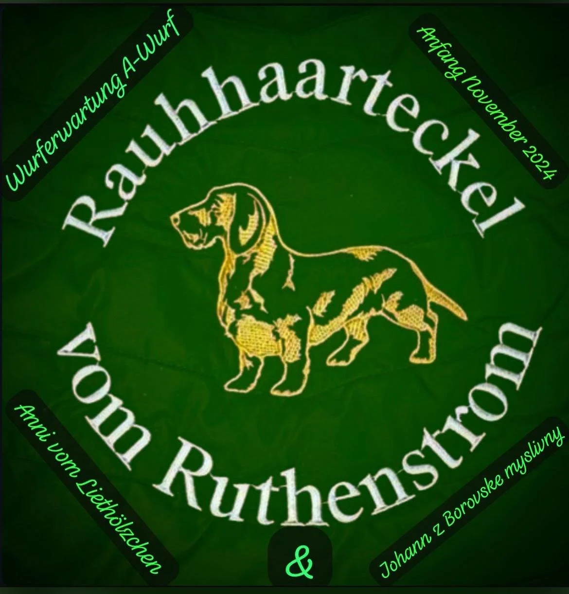 Wurfankündigung Rauhaarteckel “Vom Ruthenstrom”