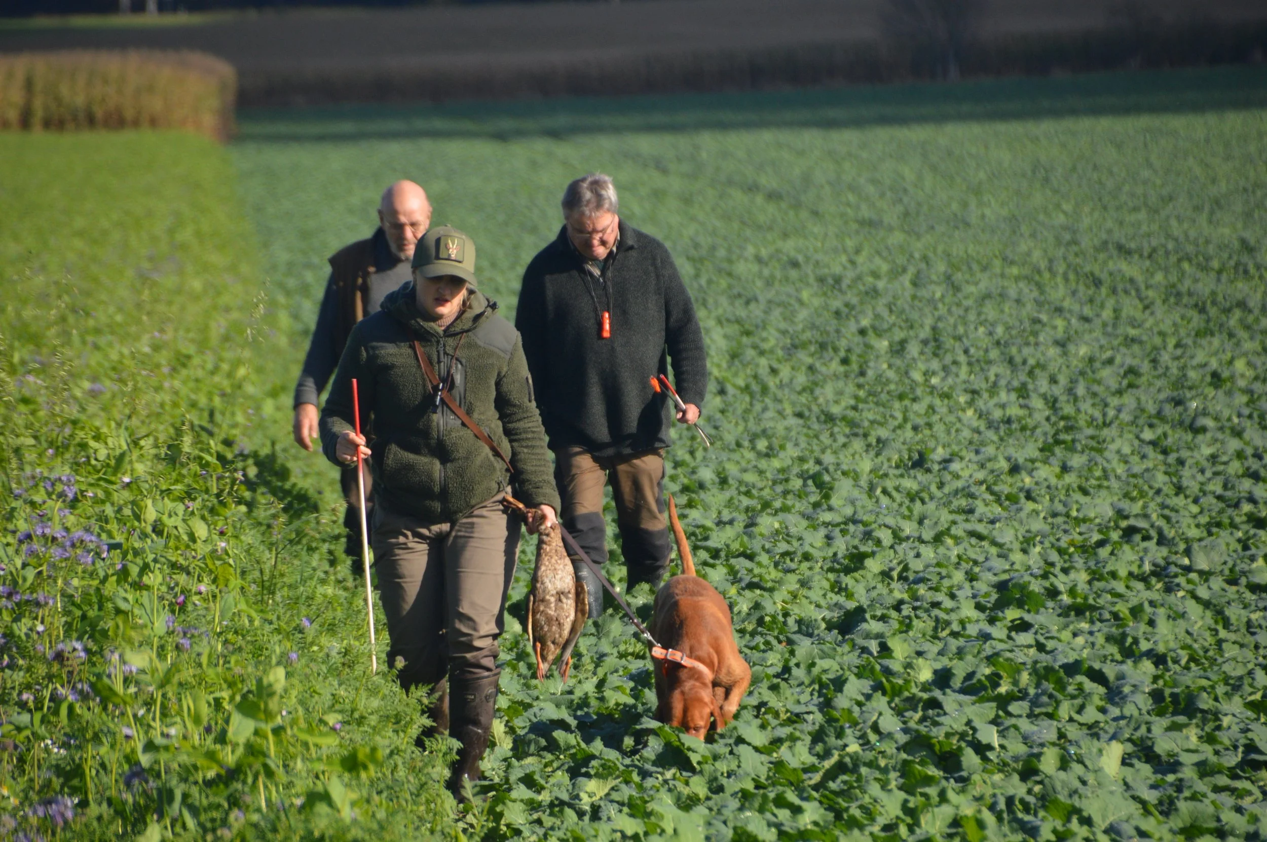 Brauchbarkeitsprüfung BrP(1) der Jägerschaft Stade am 18.10.2025