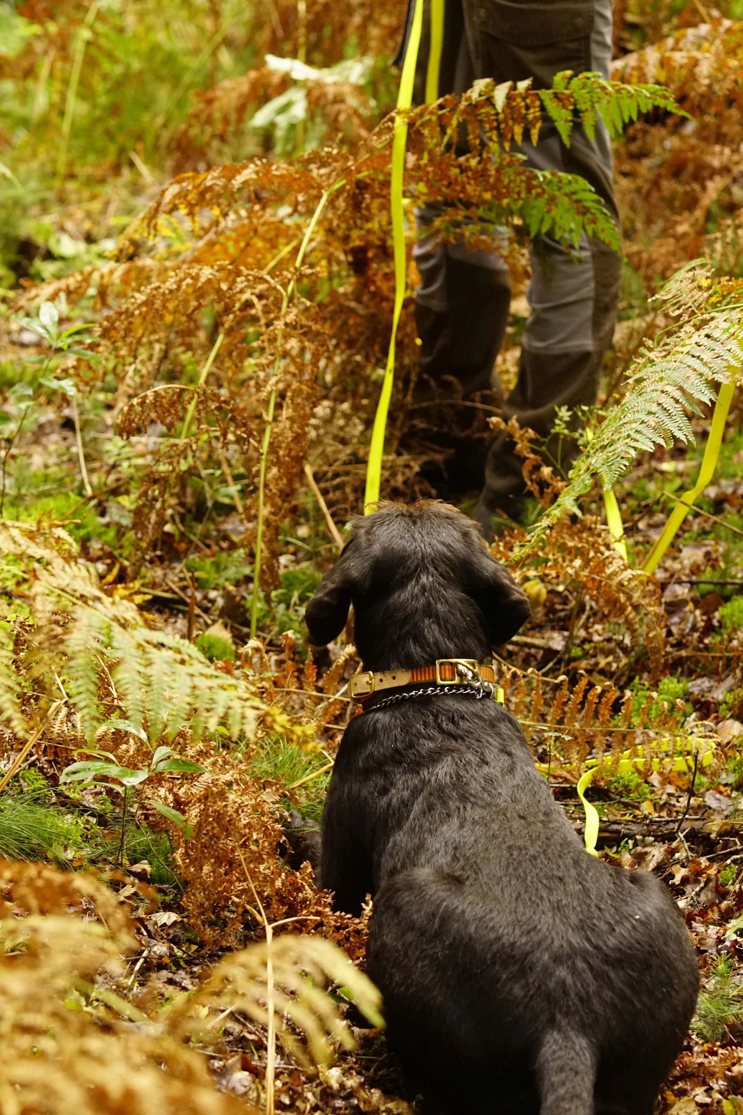 _DSC8326.JPG