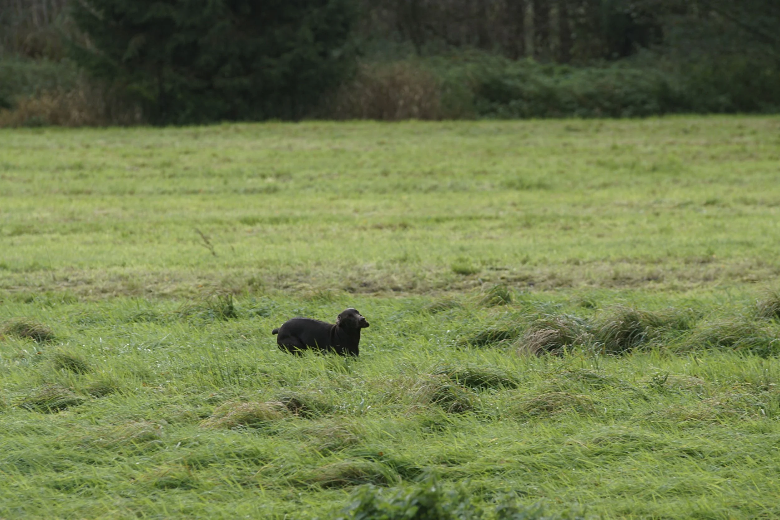 image7ii0790.jpg