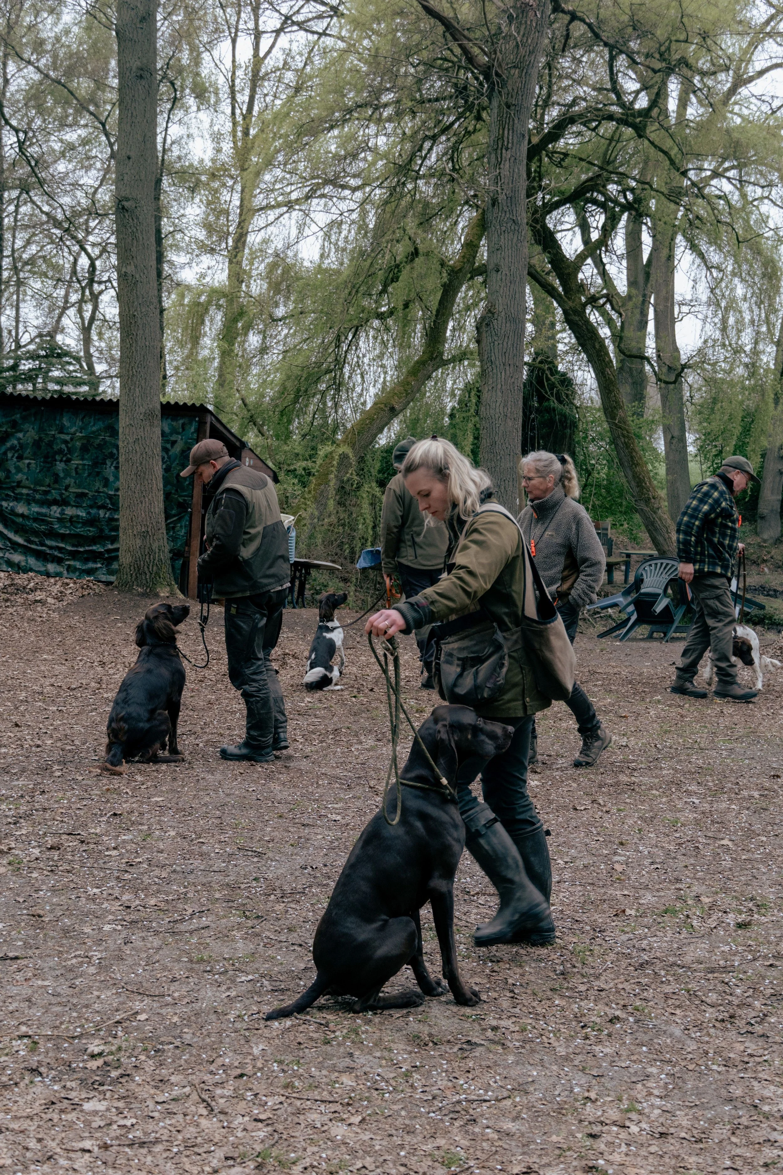 Gruppenausbildung - ein unverzichtbarer Bestandteil der Jagdhundeausbildung