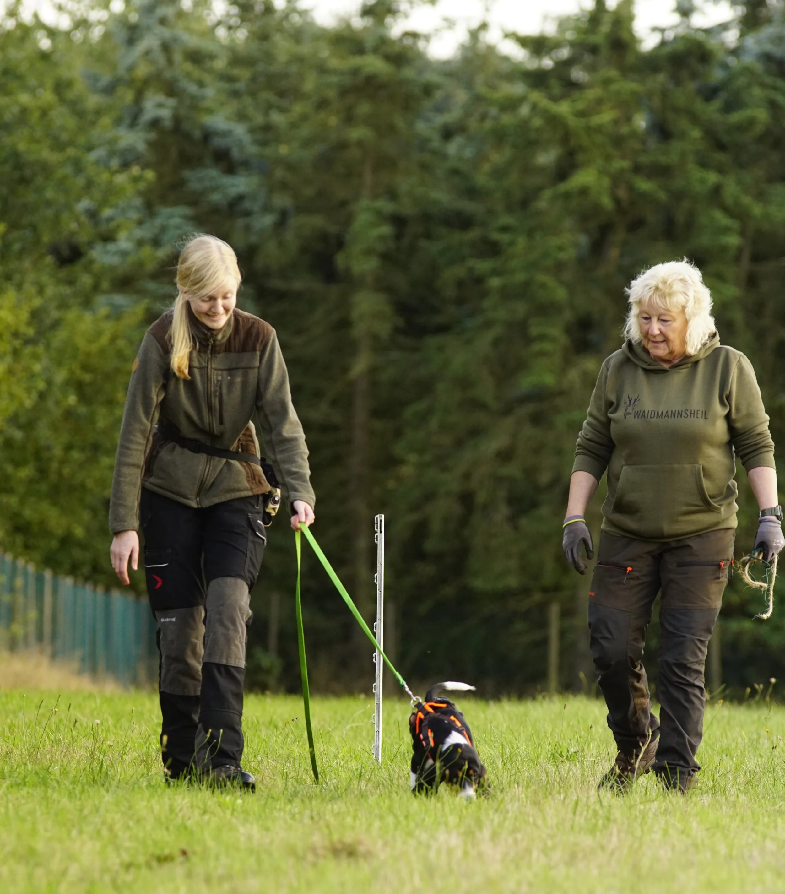Basiswissen und Gehorsam: Jagdhundewelpen optimal fördern