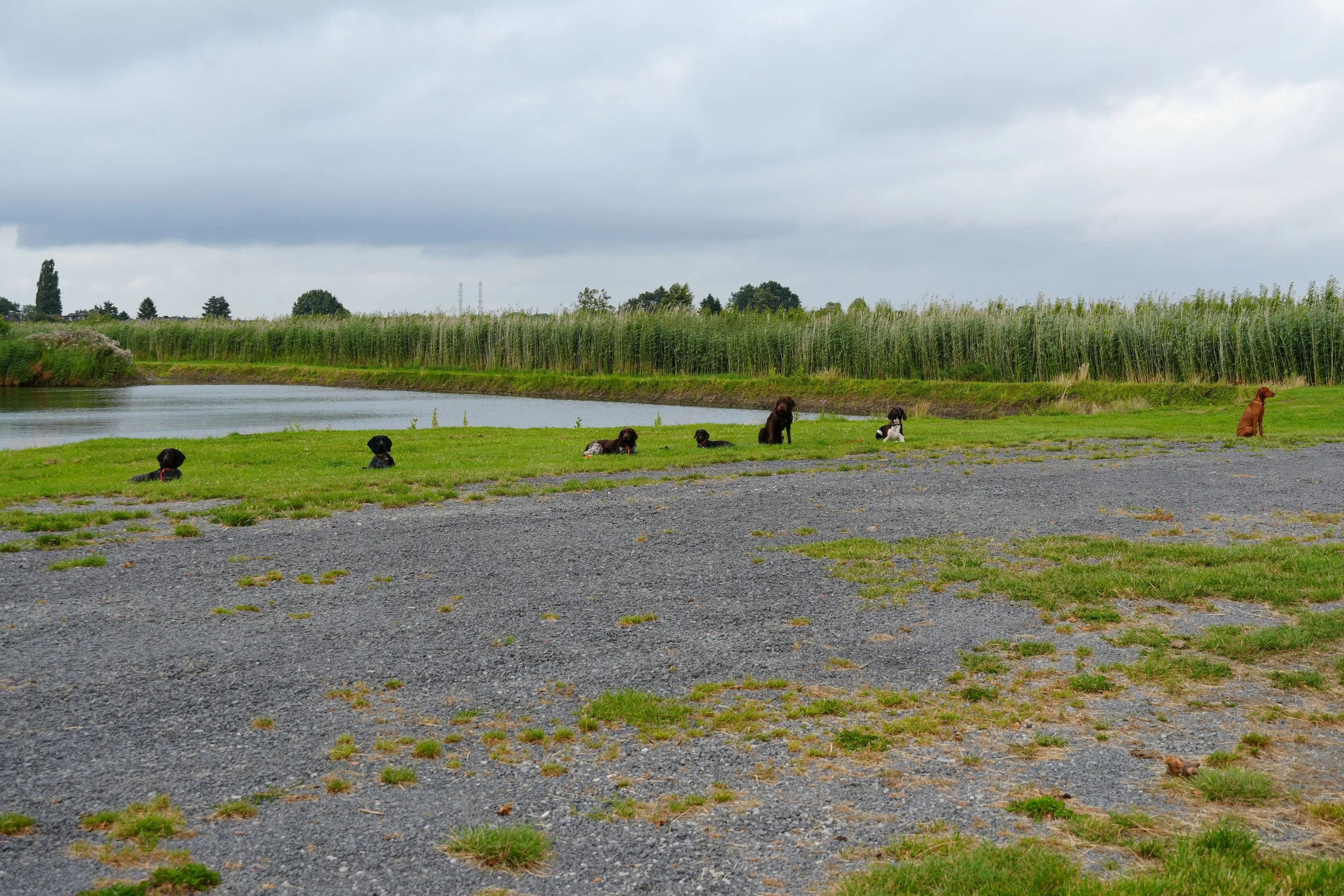 DSC08395.JPG