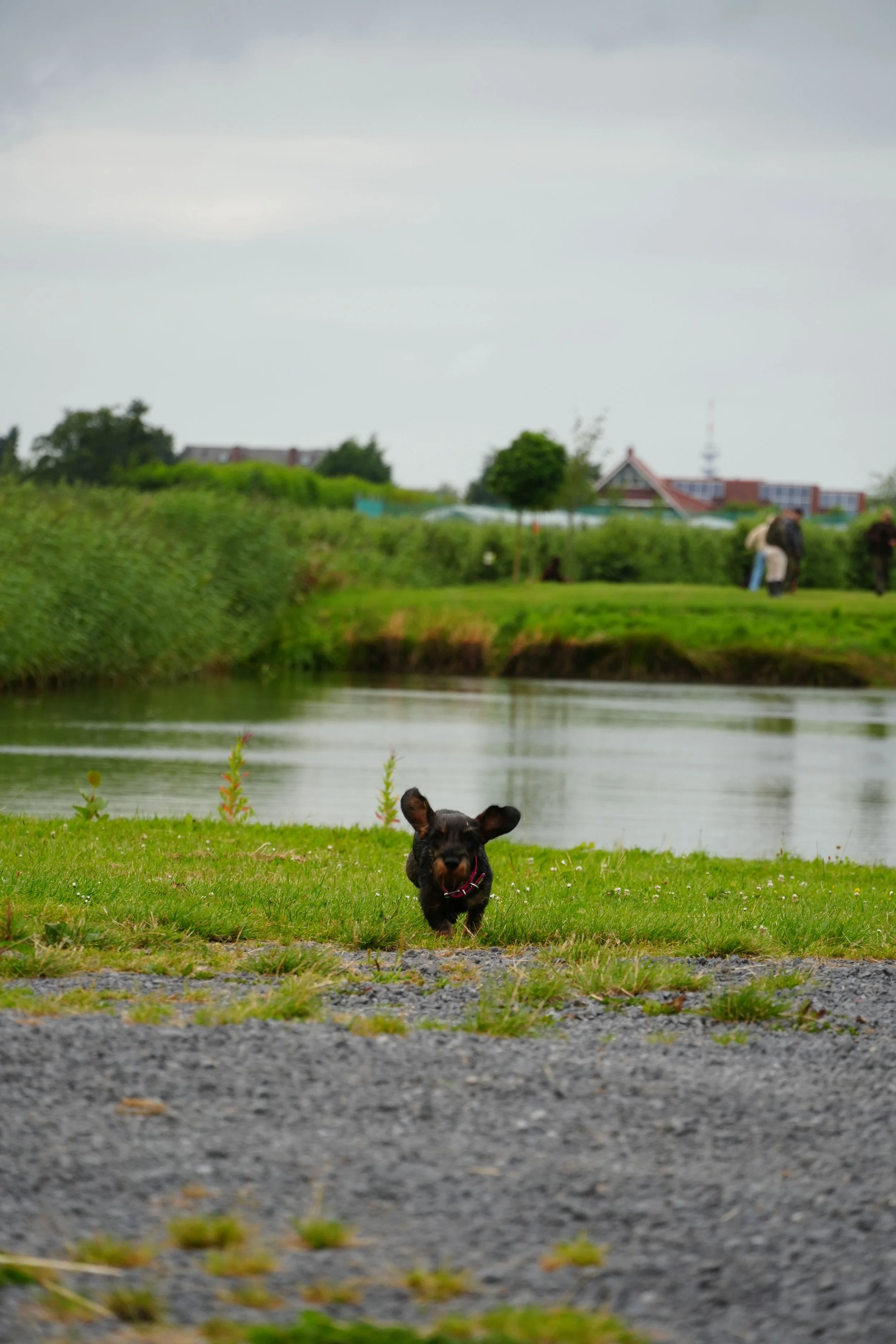 DSC08474.JPG