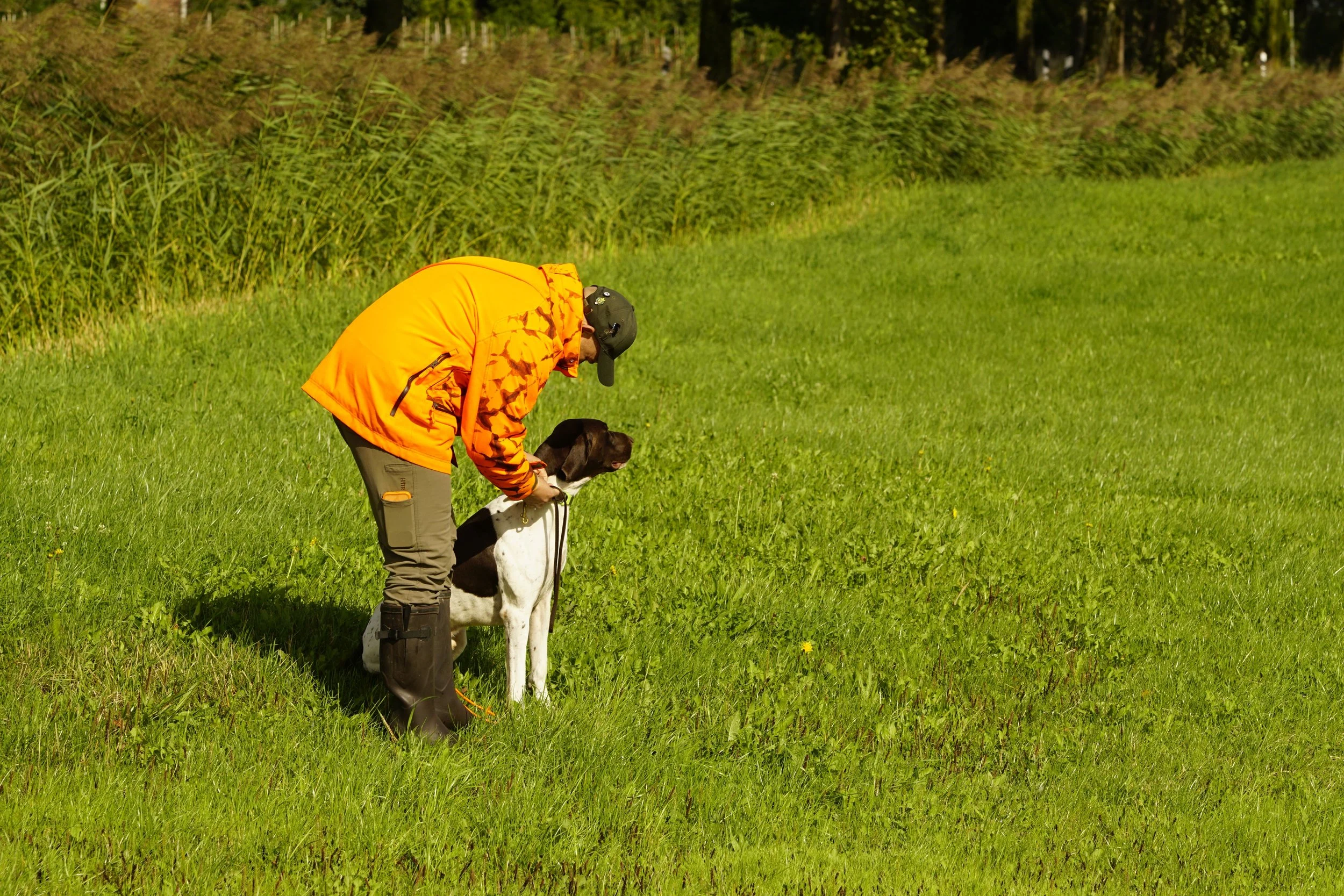 _DSC7788.JPG