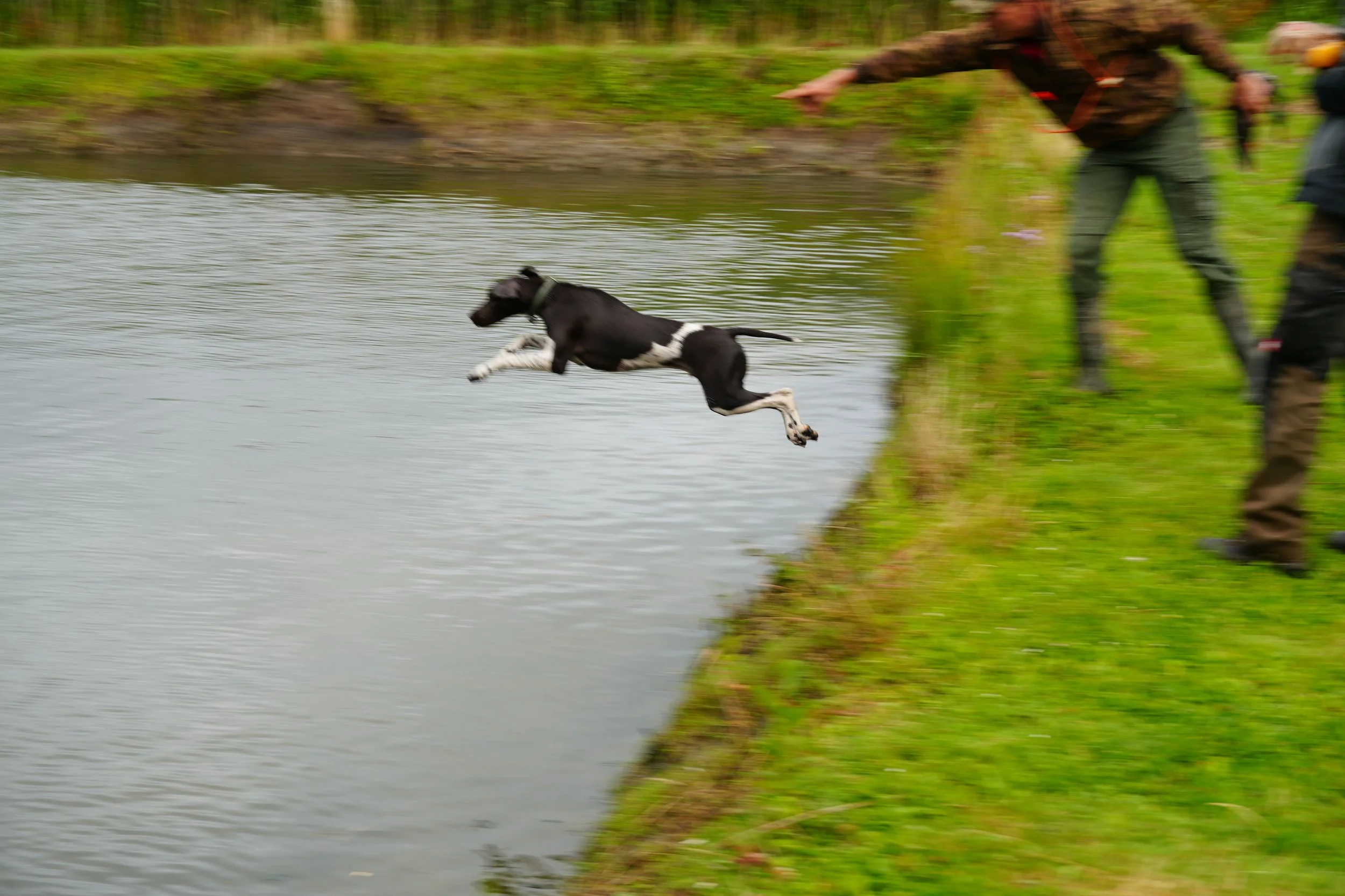 DSC08640.JPG