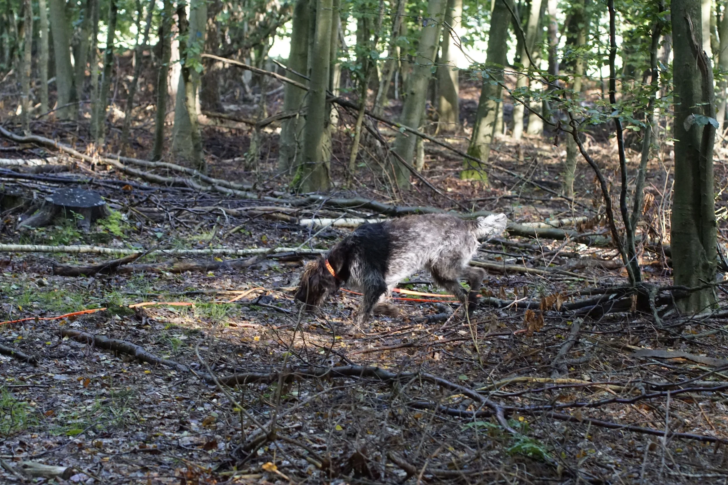 image149.JPG