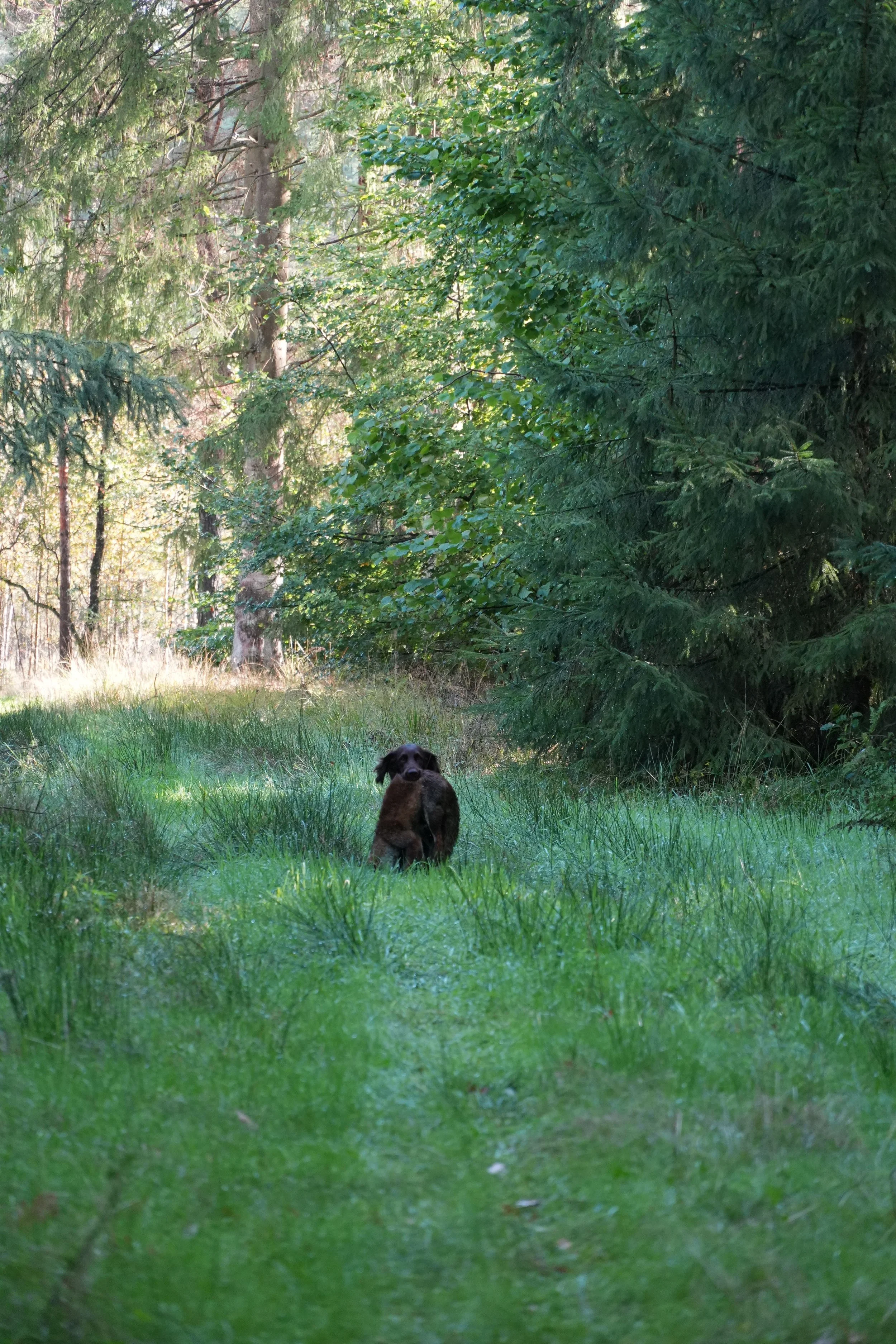 DSC07962.JPG