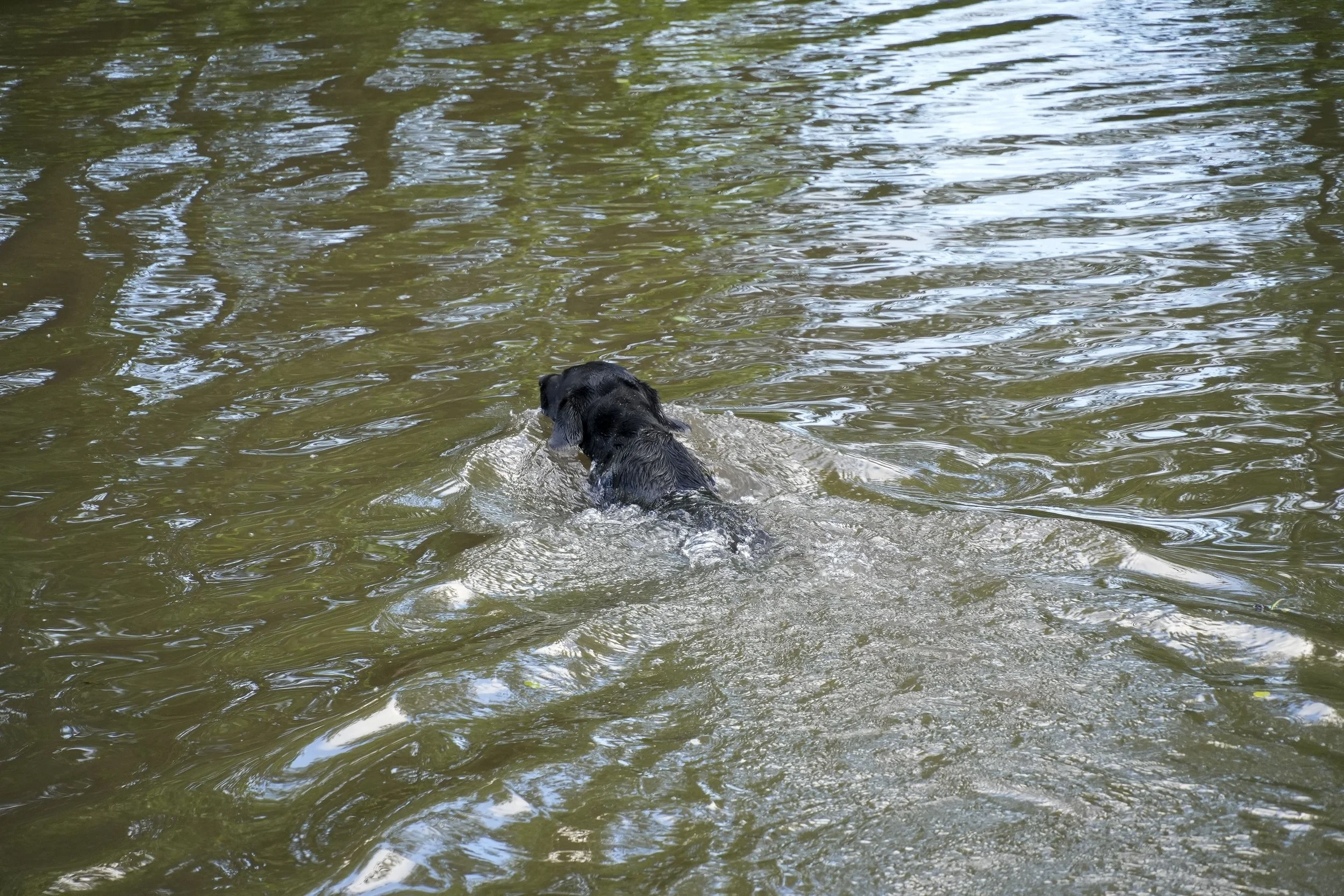 DSC01730.jpg