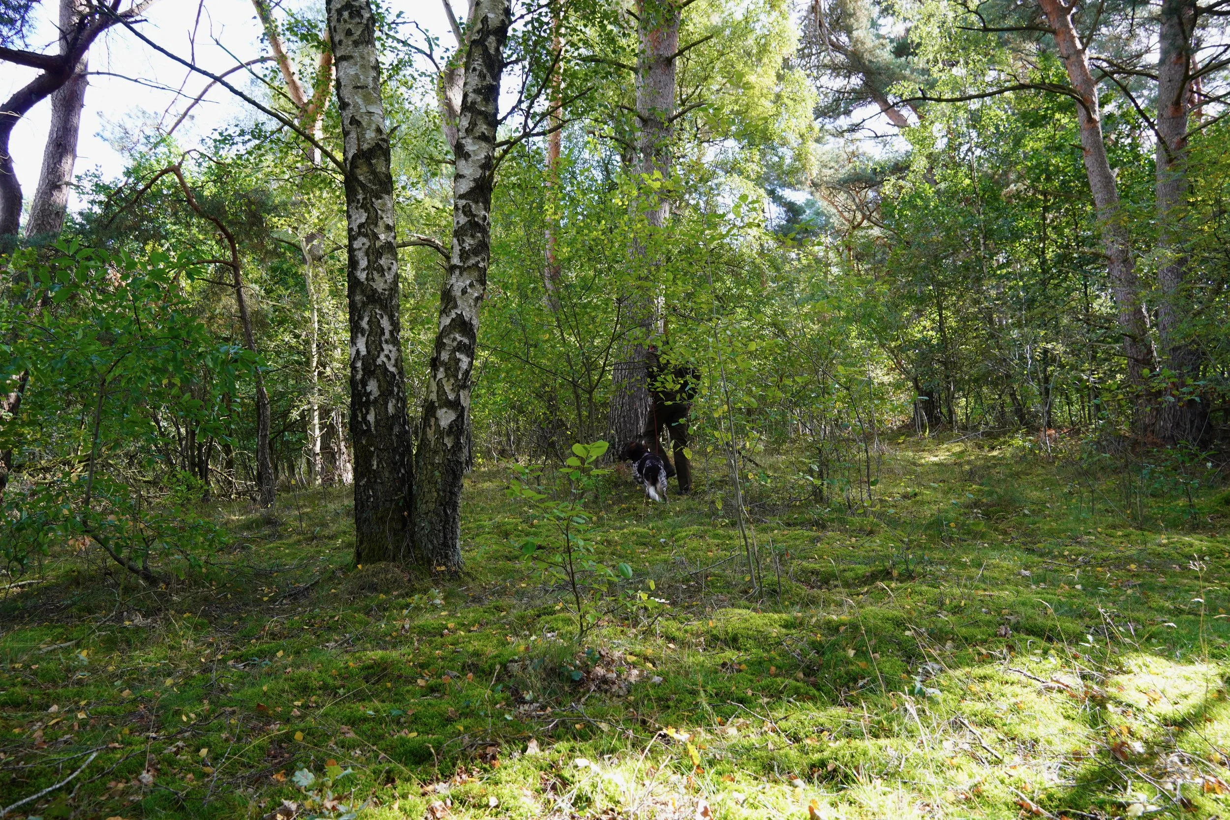 DSC02030.jpeg