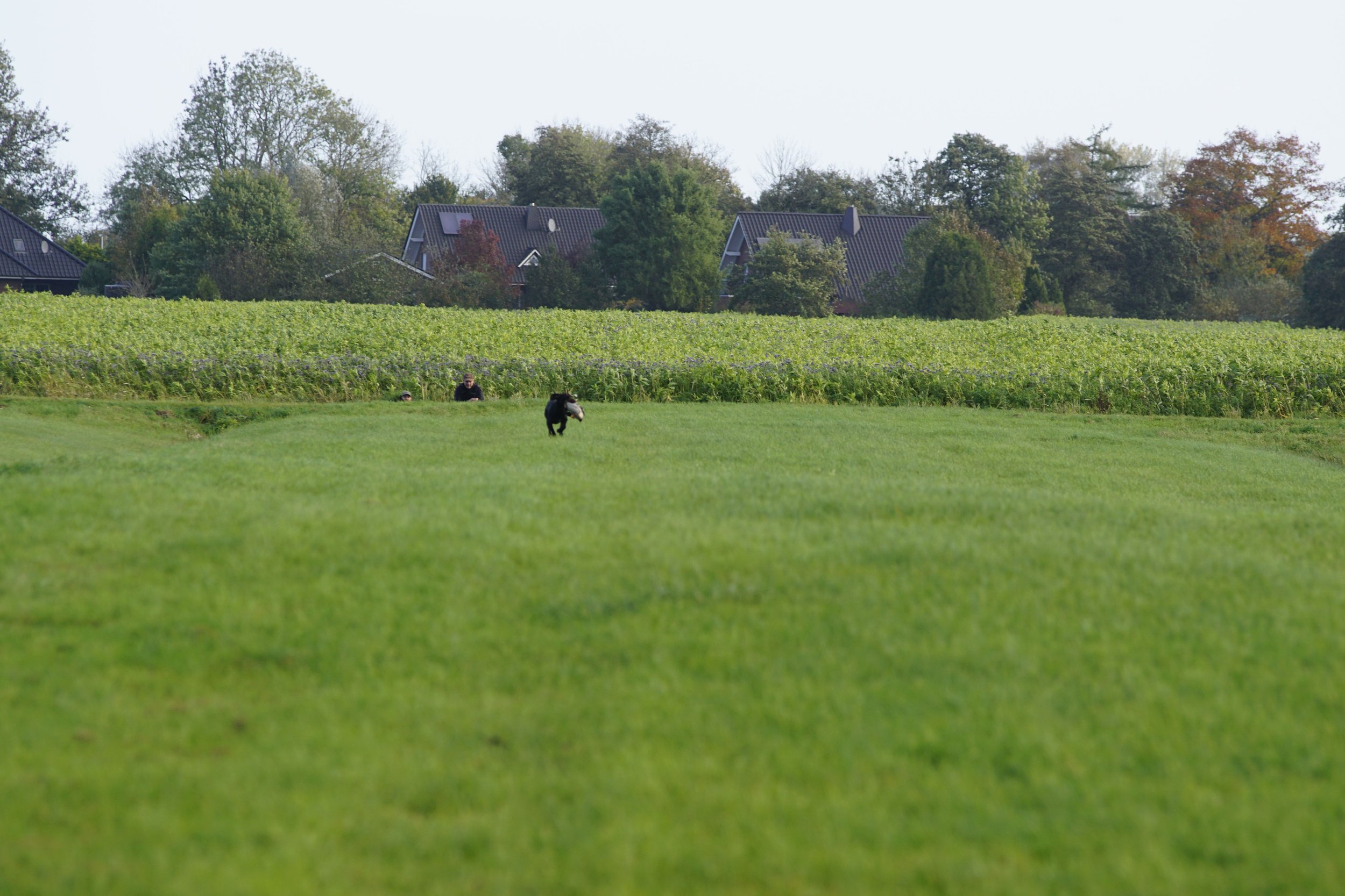 image7ii0665.jpg
