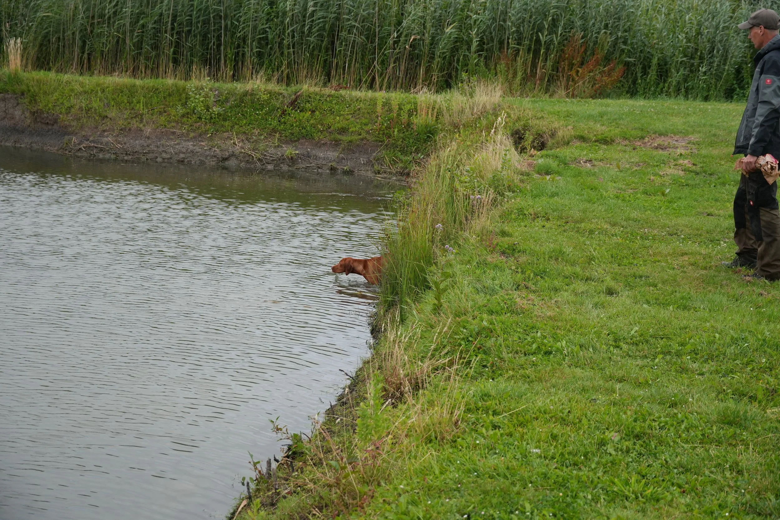 DSC08722.JPG