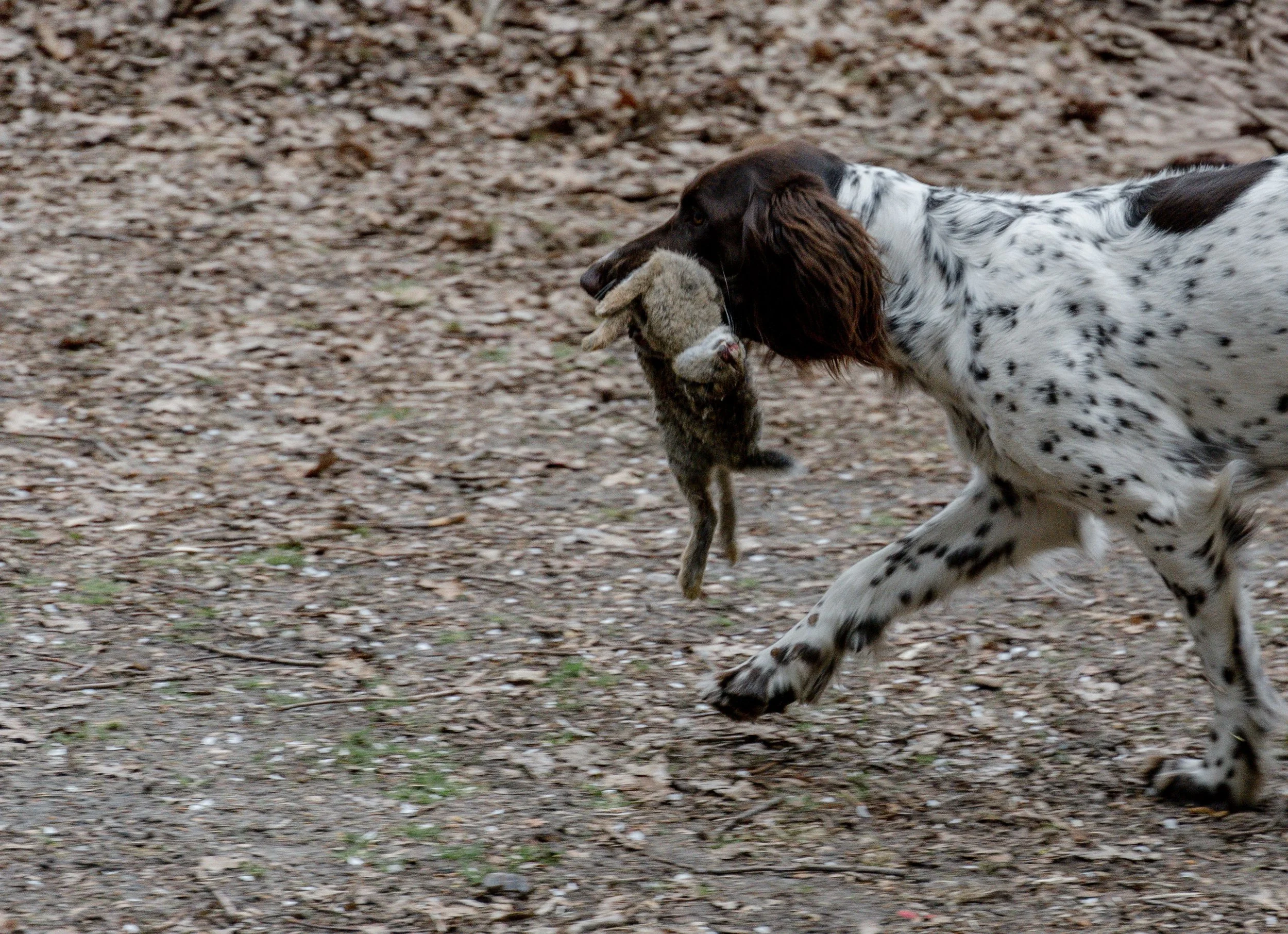 DSC01381-98.jpg