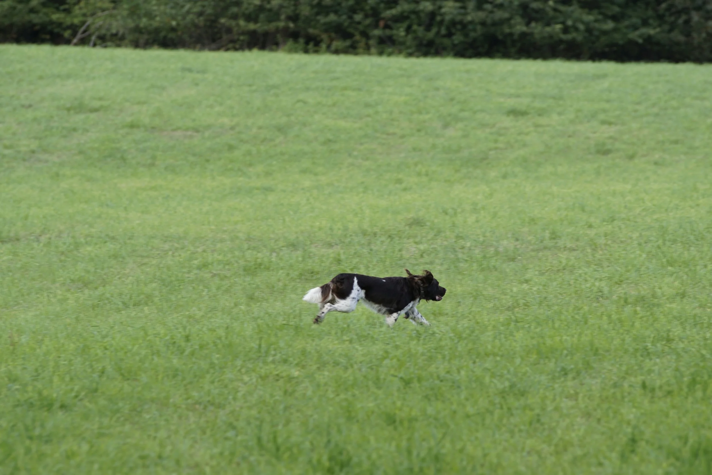 _DSC3131.JPG