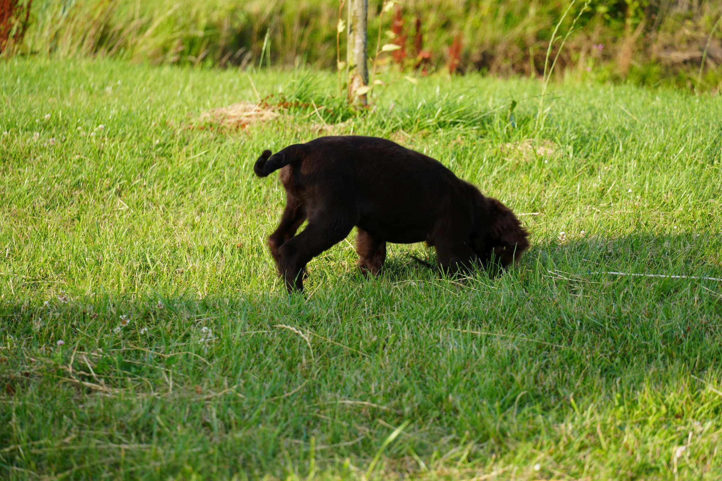 DSC09014.JPG