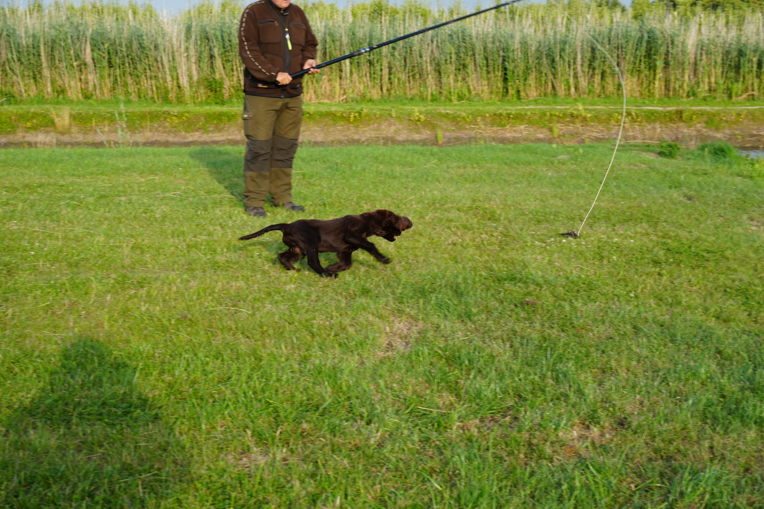 DSC08975.JPG