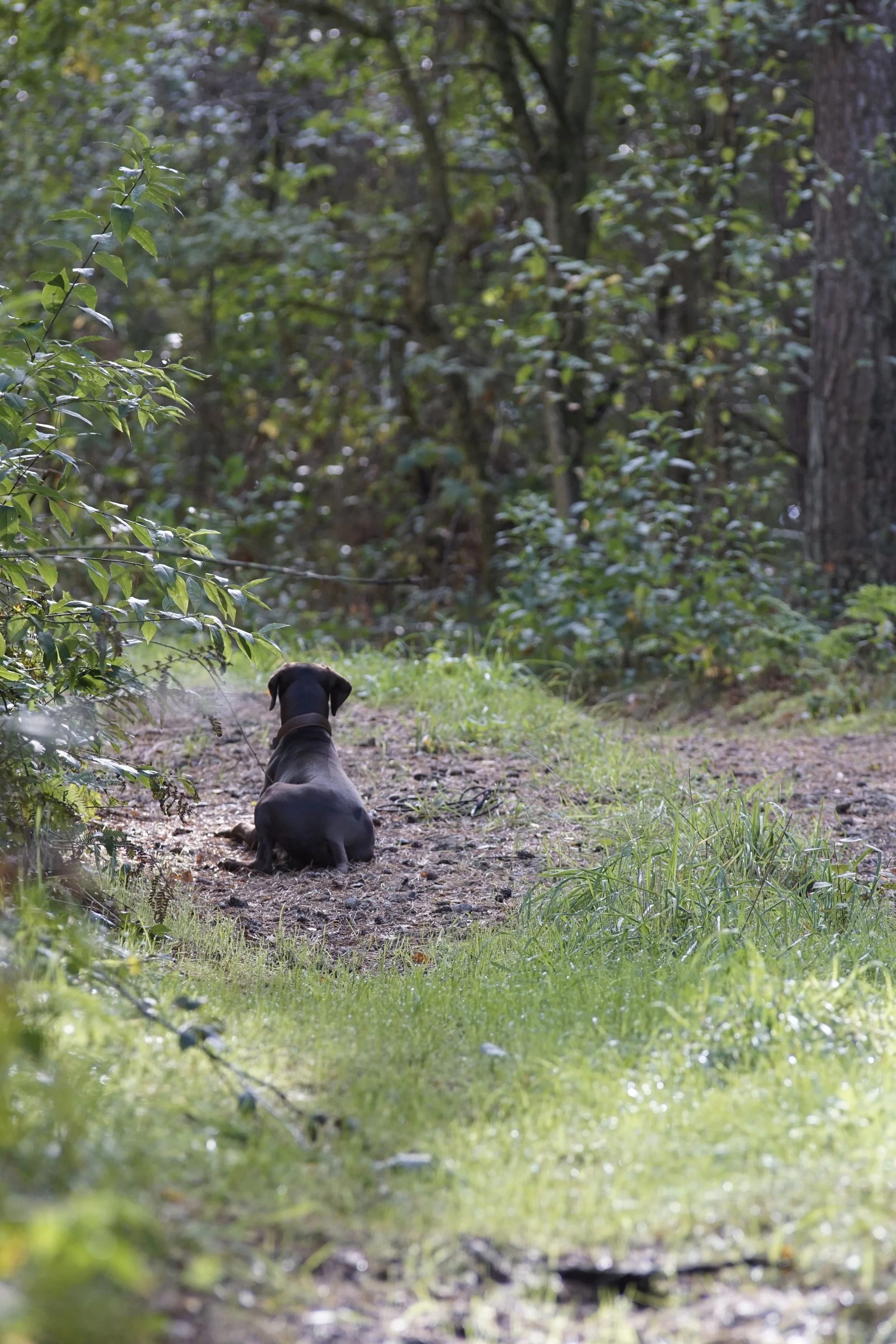 _DSC3010.JPG